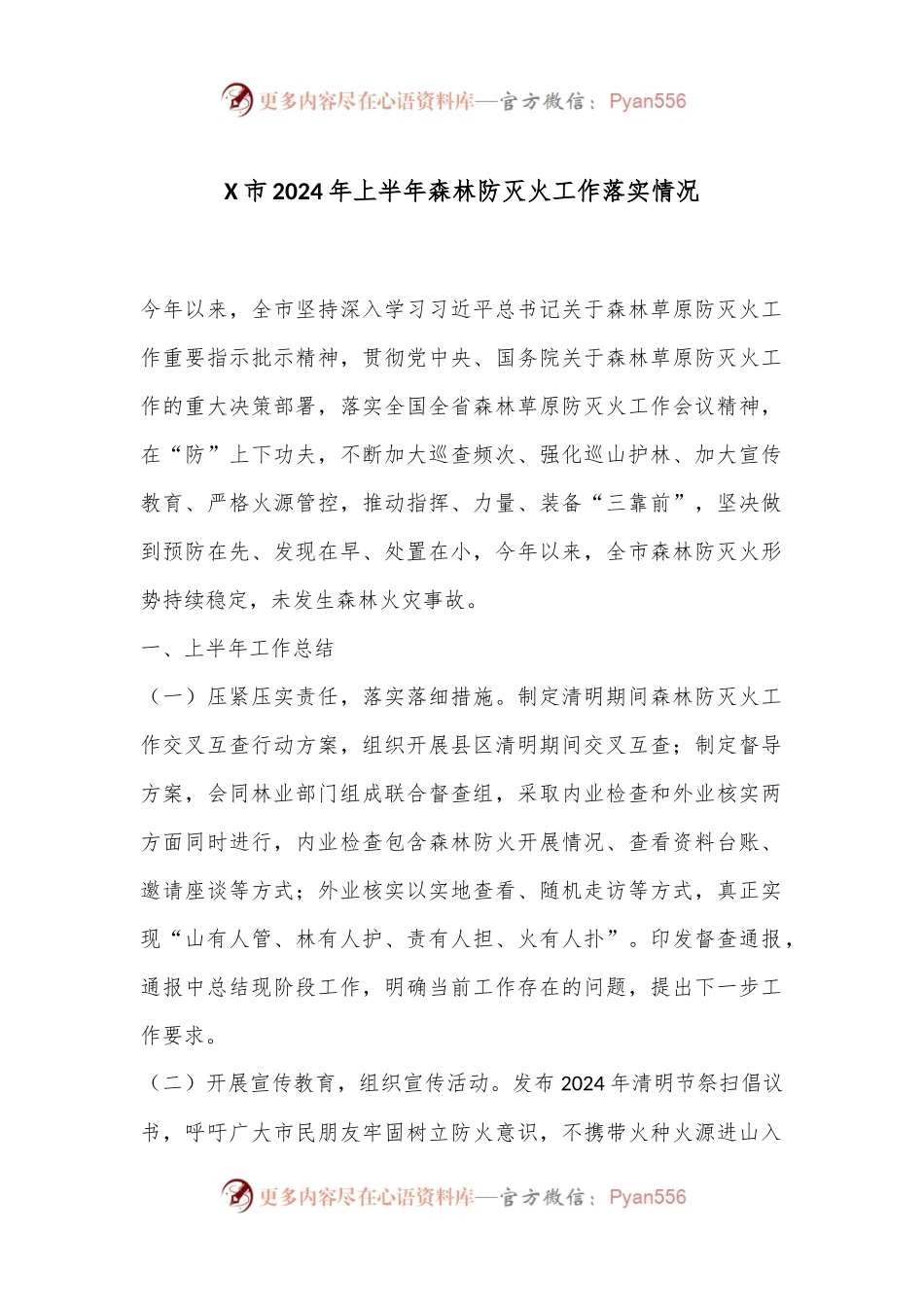 X市2024年上半年森林防灭火工作落实情况.docx_第1页