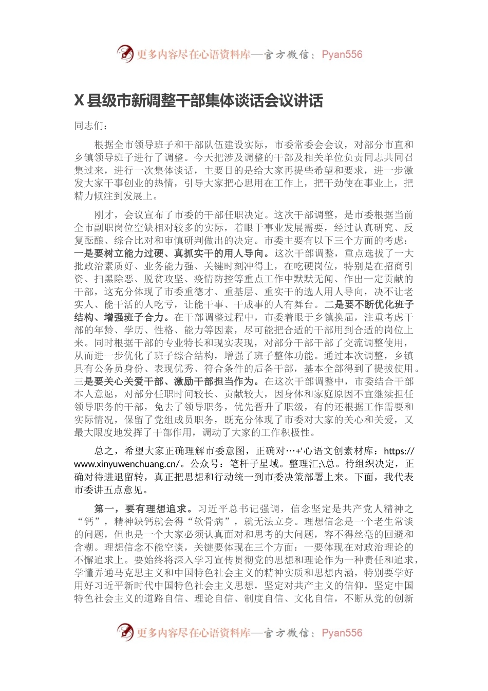 X县级市新调整干部集体谈话会议讲话2.docx_第1页