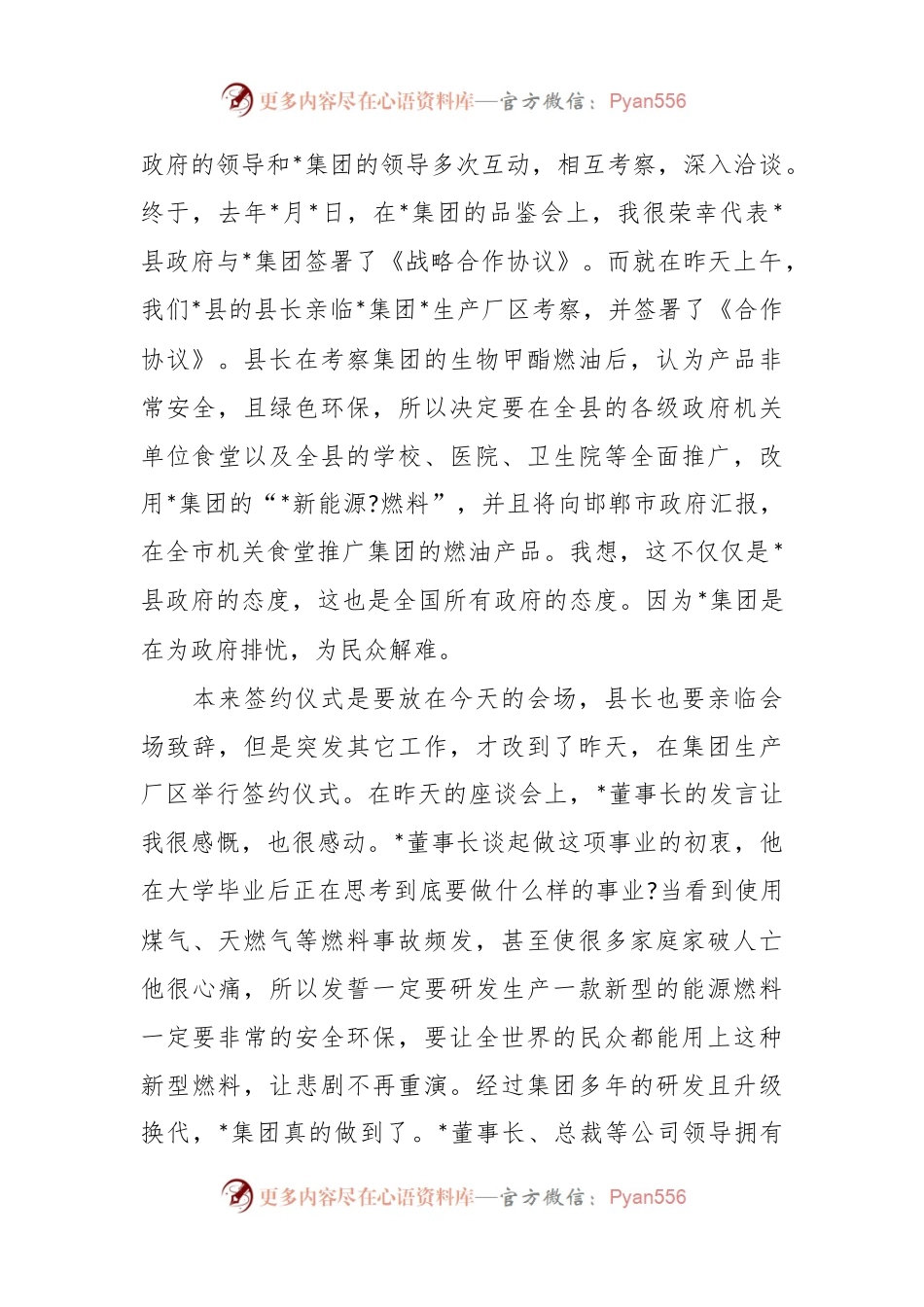 XX招商分局局长在集团新能源项目品鉴会上讲话稿.docx_第2页