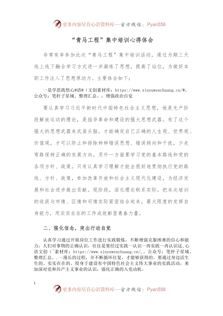 “青马工程”集中培训心得体会.docx_第1页
