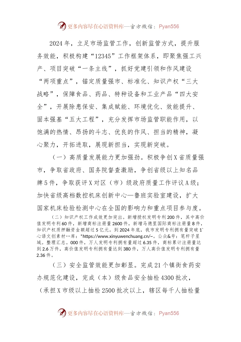 X市市场监督管理局2024年度工作要点.docx_第2页