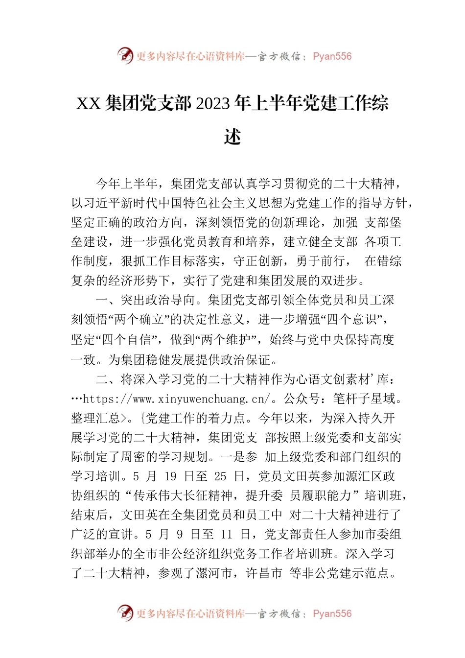 XX集团党支部2023年上半年党建工作综述(20230714).docx_第1页