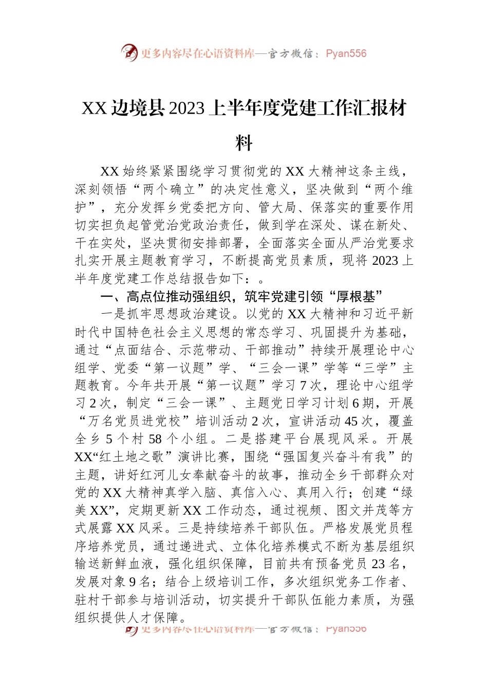 XX边境县2023上半年度党建工作汇报材料.docx_第1页