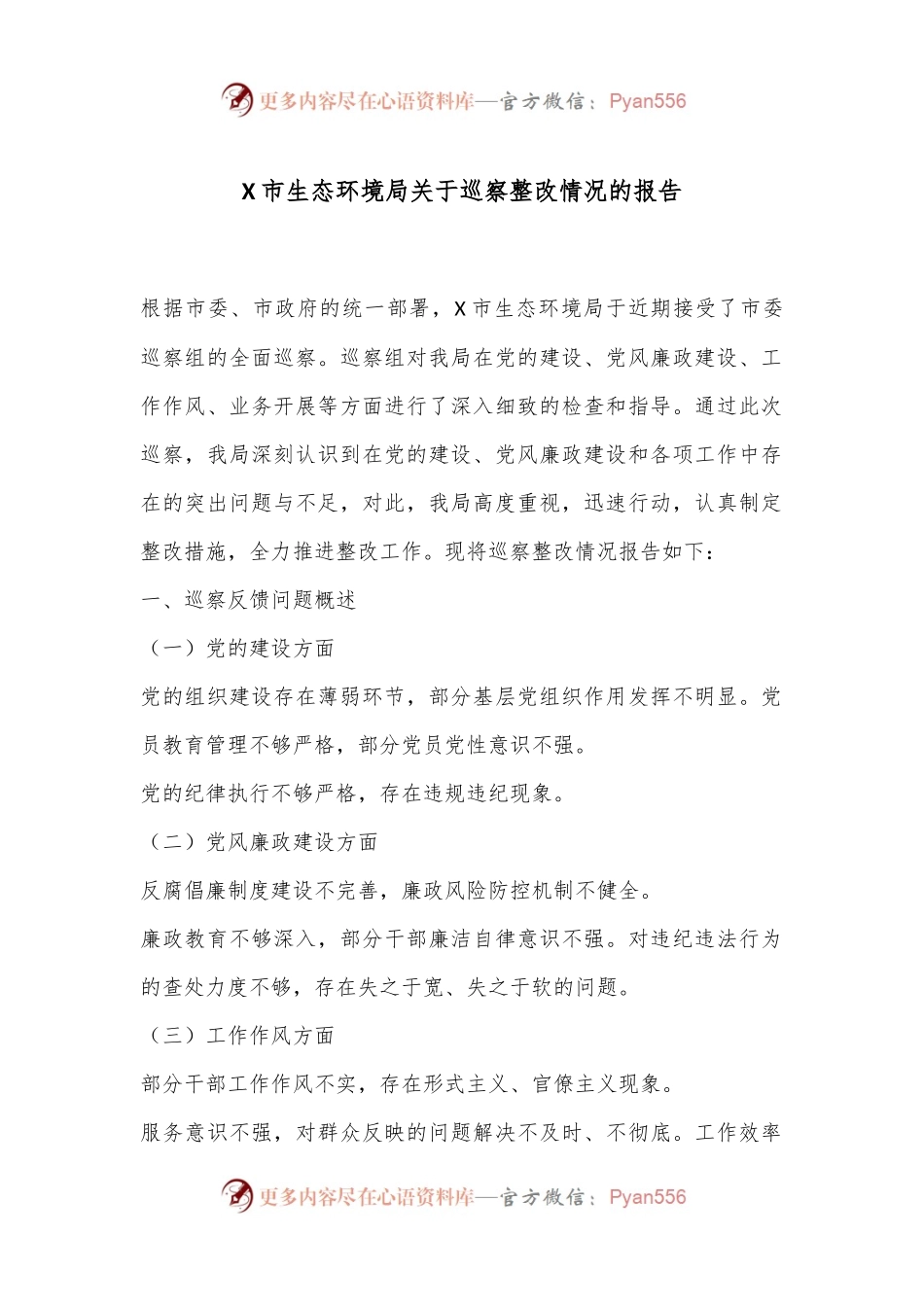 X市生态环境局关于巡察整改情况的报告.docx_第1页