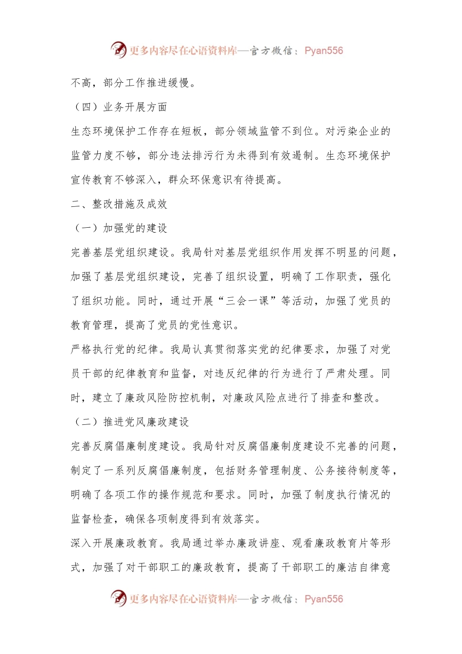 X市生态环境局关于巡察整改情况的报告.docx_第2页
