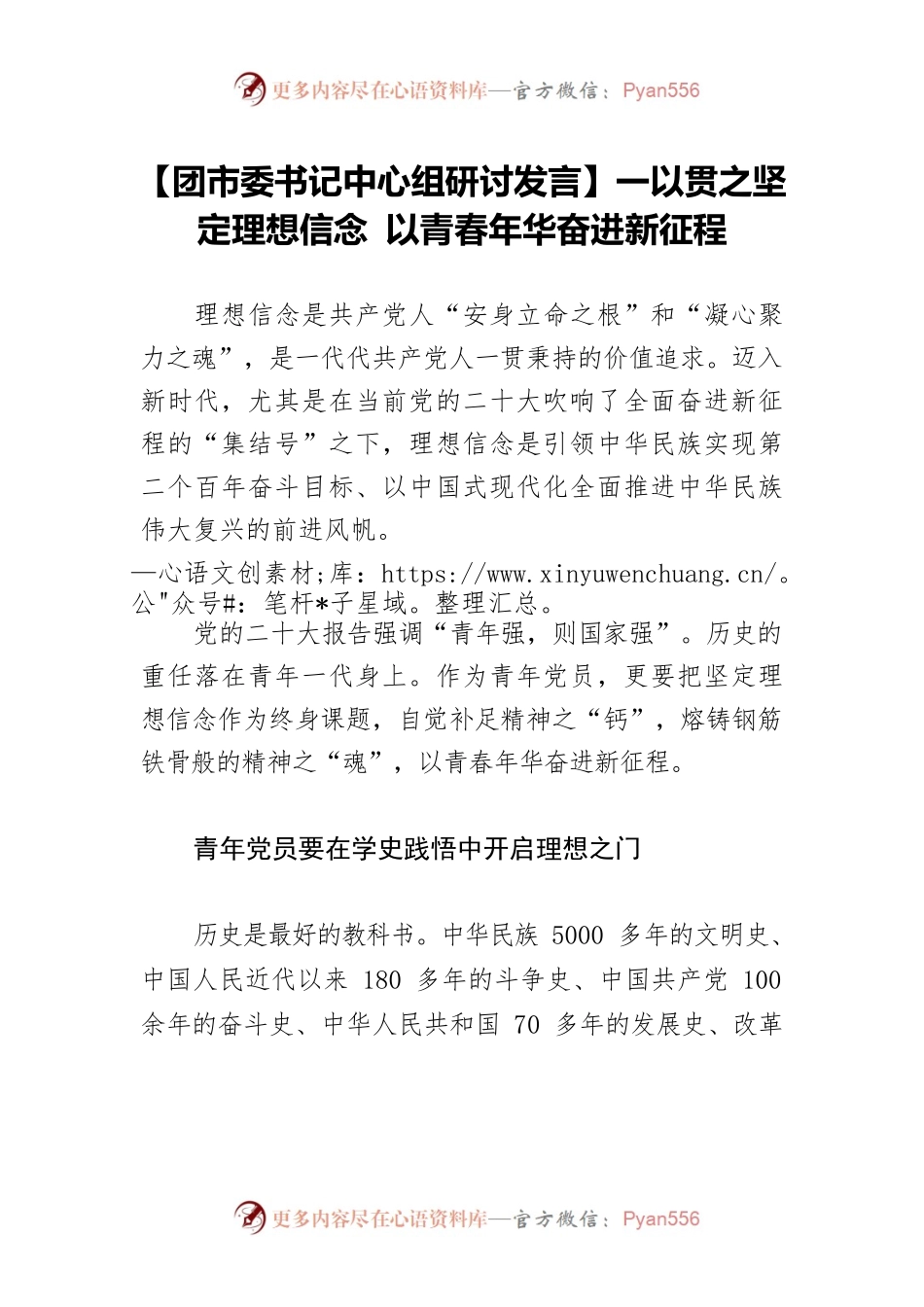 【团市委书记中心组研讨发言】一以贯之坚定理想信念 以青春年华奋进新征程.docx_第1页