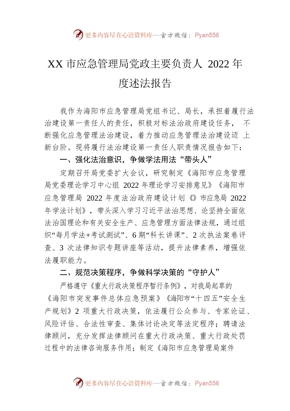 XX市应急管理局党政主要负责人2022年度述法报告（20221123）.docx_第1页