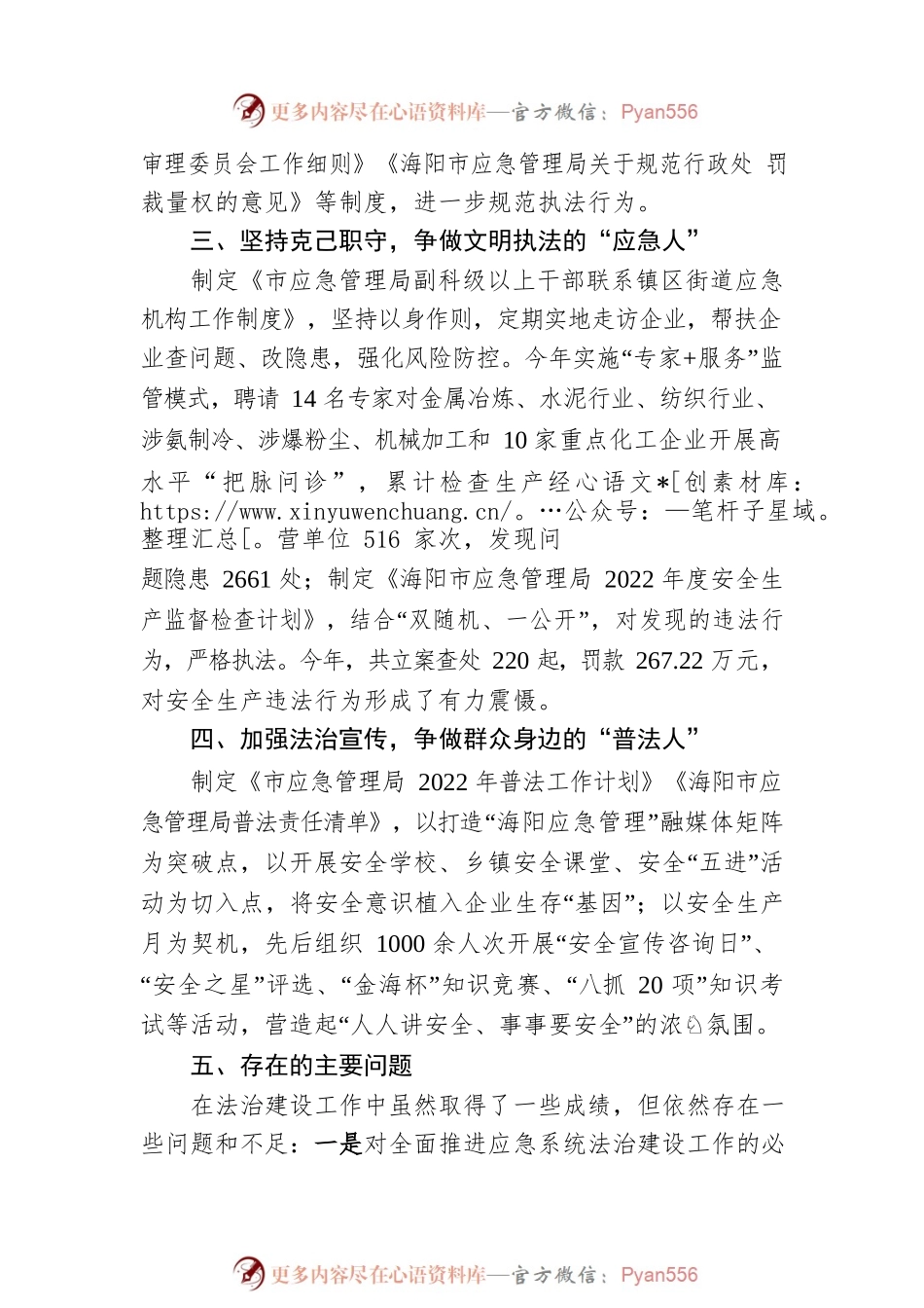 XX市应急管理局党政主要负责人2022年度述法报告（20221123）.docx_第2页