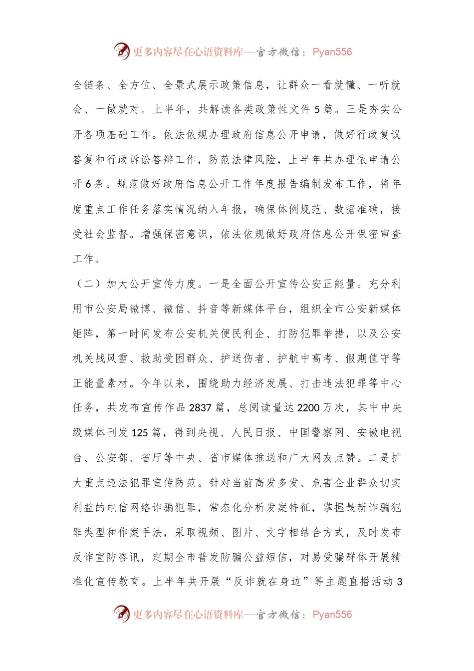 X市公安局2024年上半年政务公开工作总结.docx_第2页