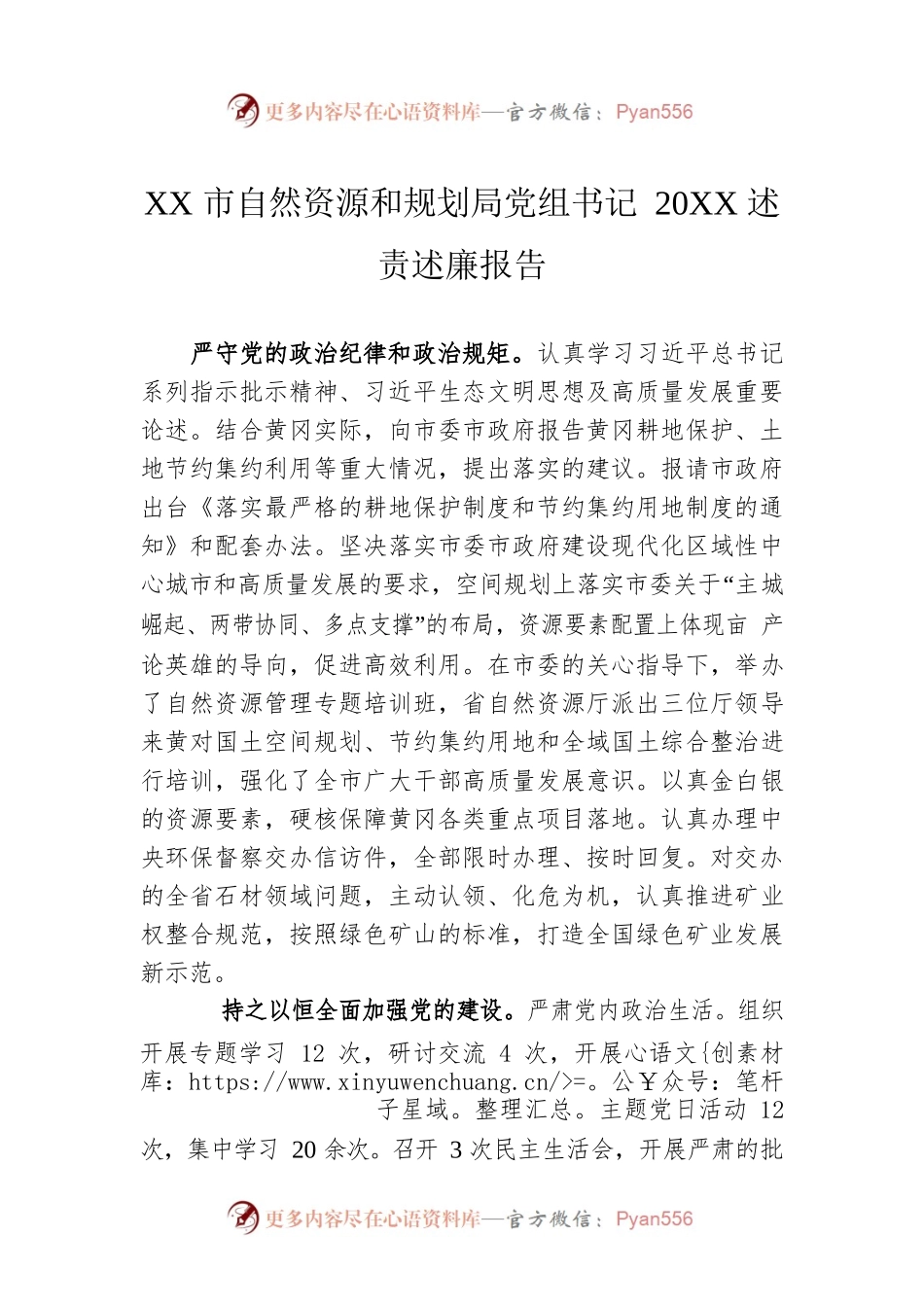 XX市自然资源和规划局党组书记20XX述责述廉报告（20220221）.docx_第1页