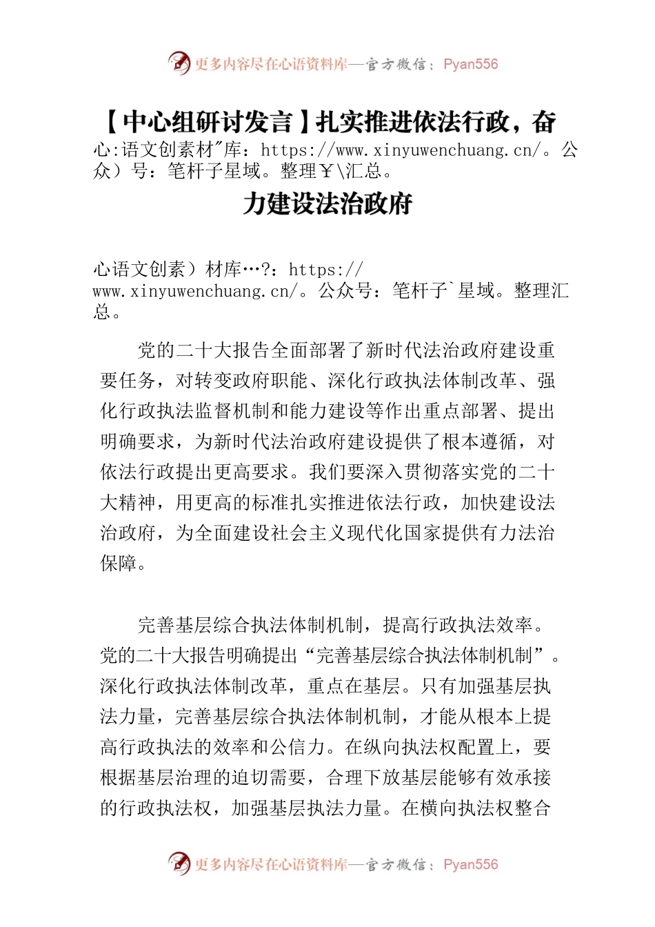 【中心组研讨发言】扎实推进依法行政，奋力建设法治政府.docx_第1页
