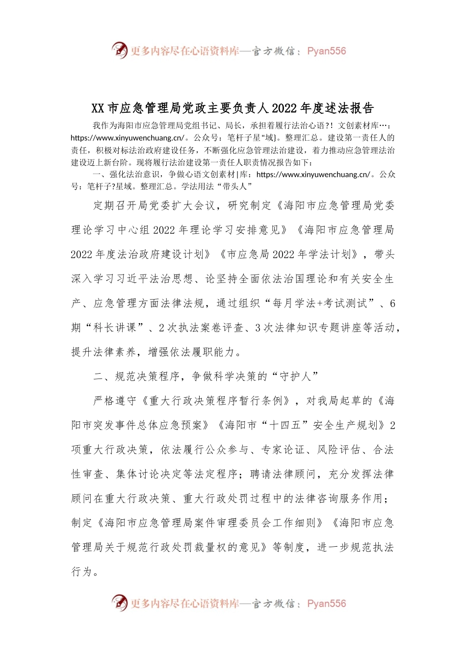 XX市应急管理局党政主要负责人2022年度述法报告.docx_第1页