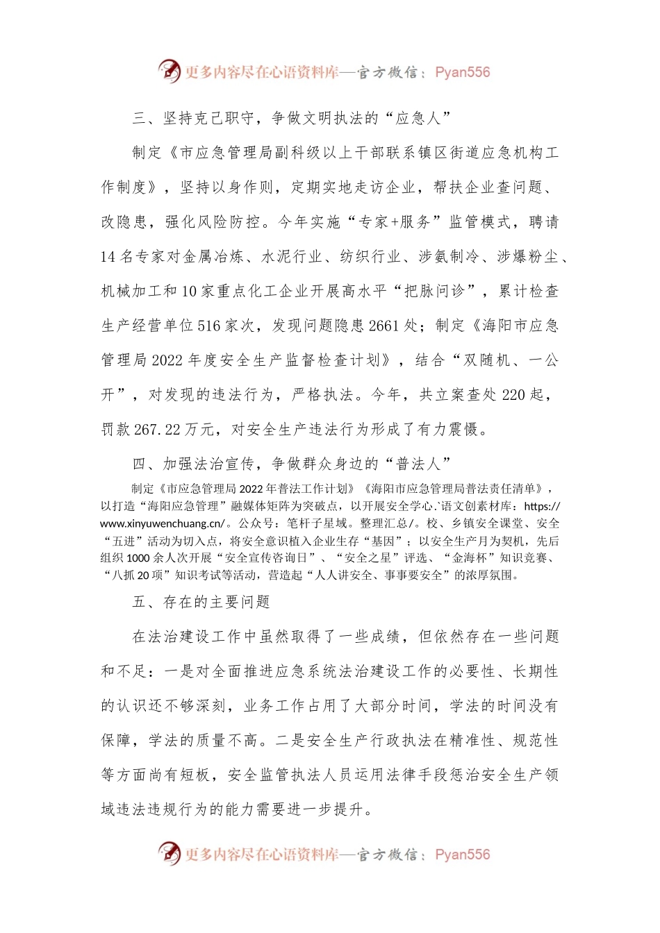 XX市应急管理局党政主要负责人2022年度述法报告.docx_第2页
