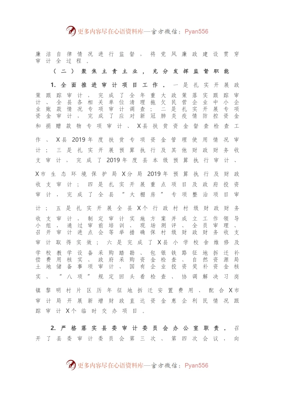 X县审计局2020年工作总结暨2021年工作计划.docx_第2页