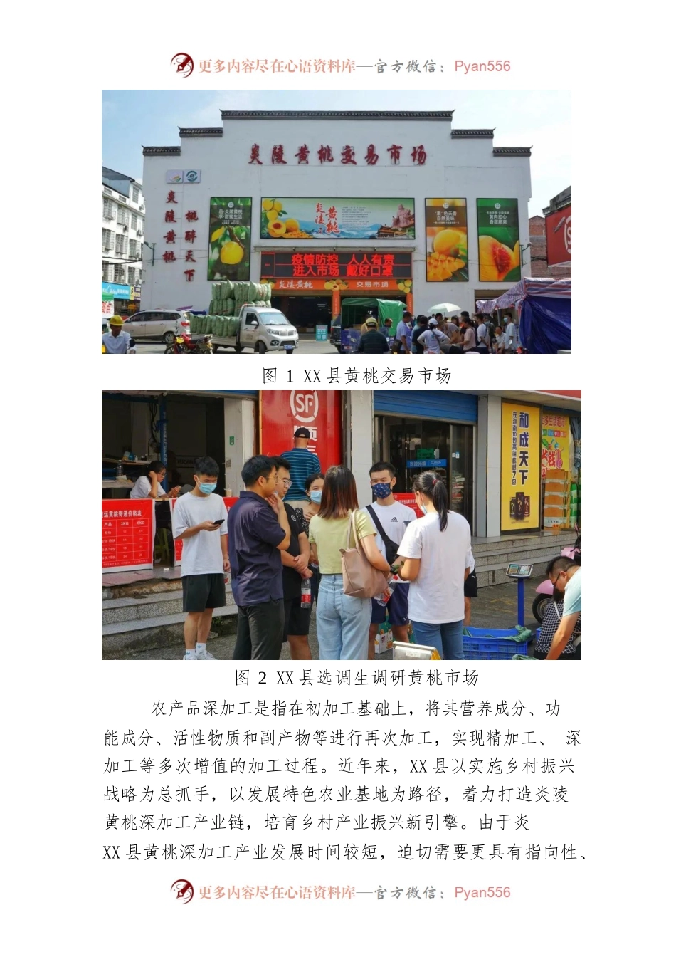 X县黄桃深加工产业的现状与发展.docx_第2页