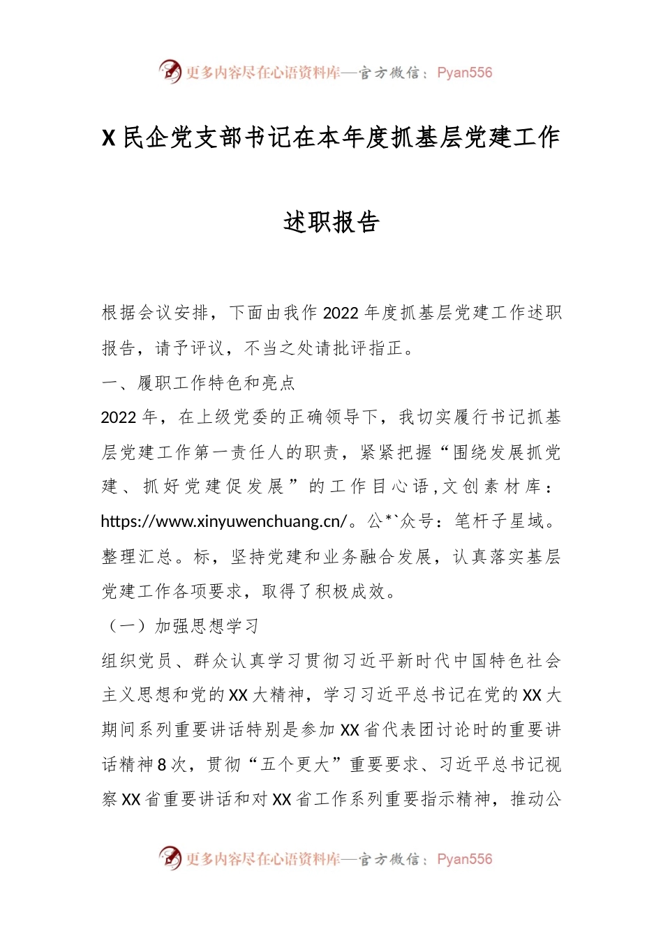 X民企党支部书记在本年度抓基层党建工作述职报告.docx_第1页