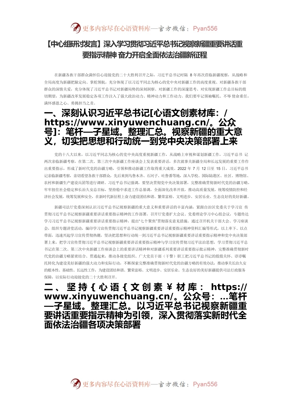 【中心组研讨发言】深入学习贯彻习近平总书记视察新疆重要讲话重要指示精神 奋力开启全面依法治疆新征程.docx_第1页