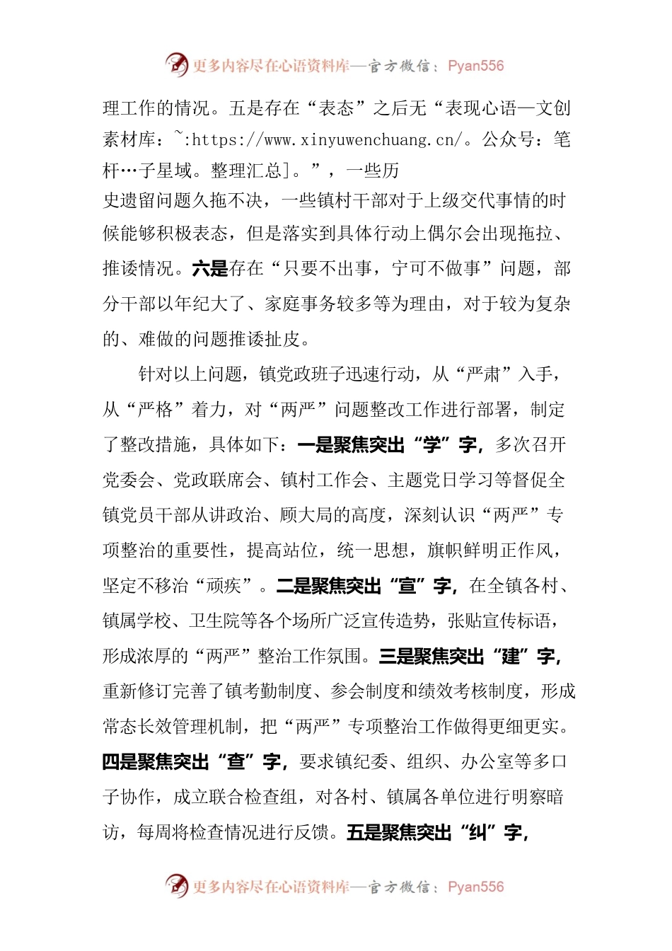 XX镇班子“两严”专项整治整改落实情况报告.docx_第2页