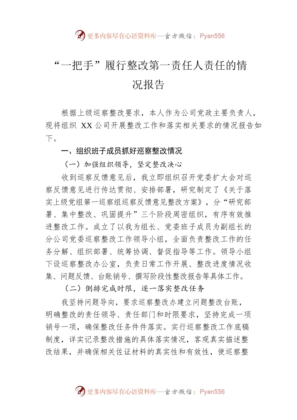 “一把手”履行整改第一责任人责任的情况报告.docx_第1页