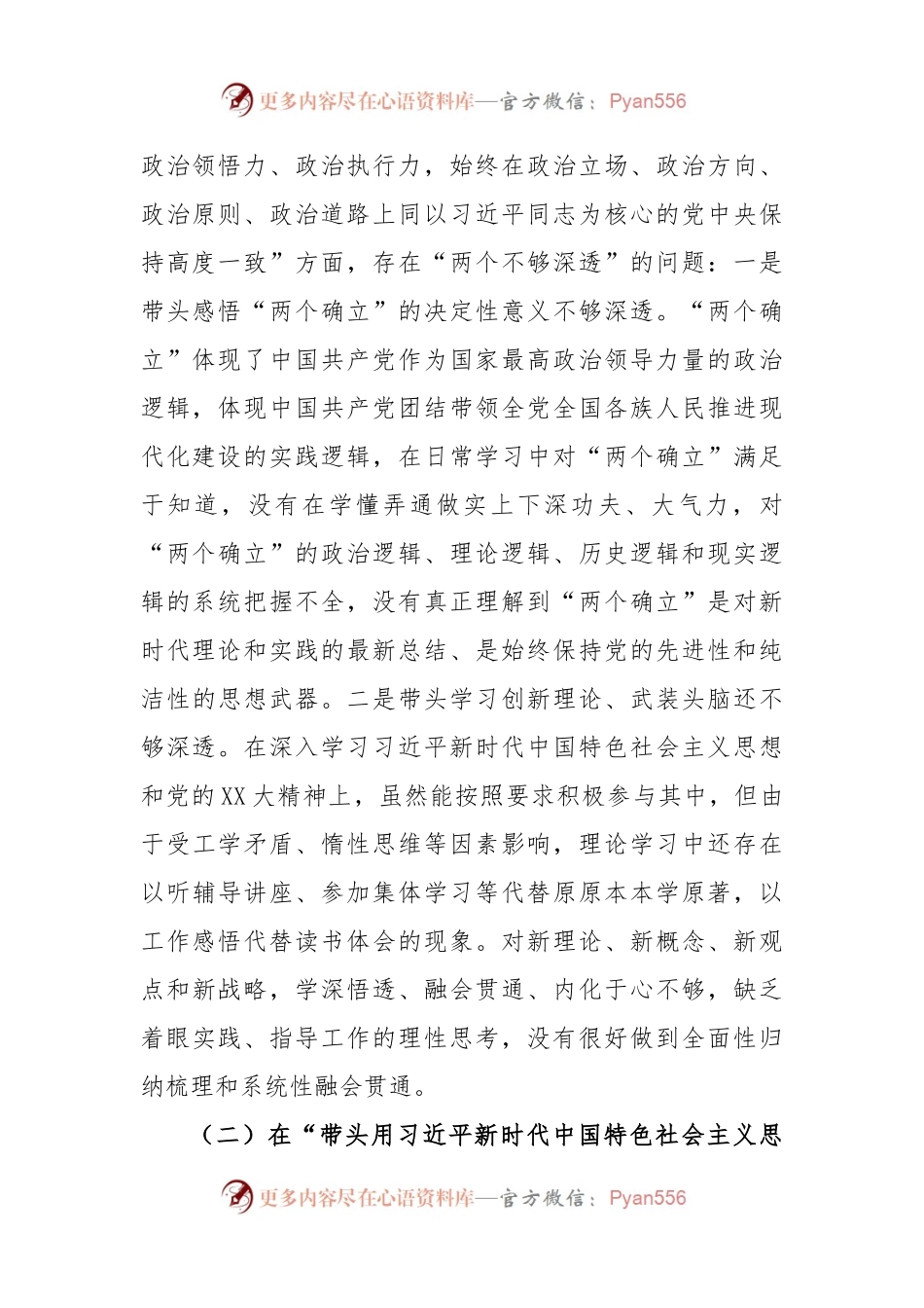 X市局党组副书记在2022年度民主生活会对照检查材料.docx_第2页