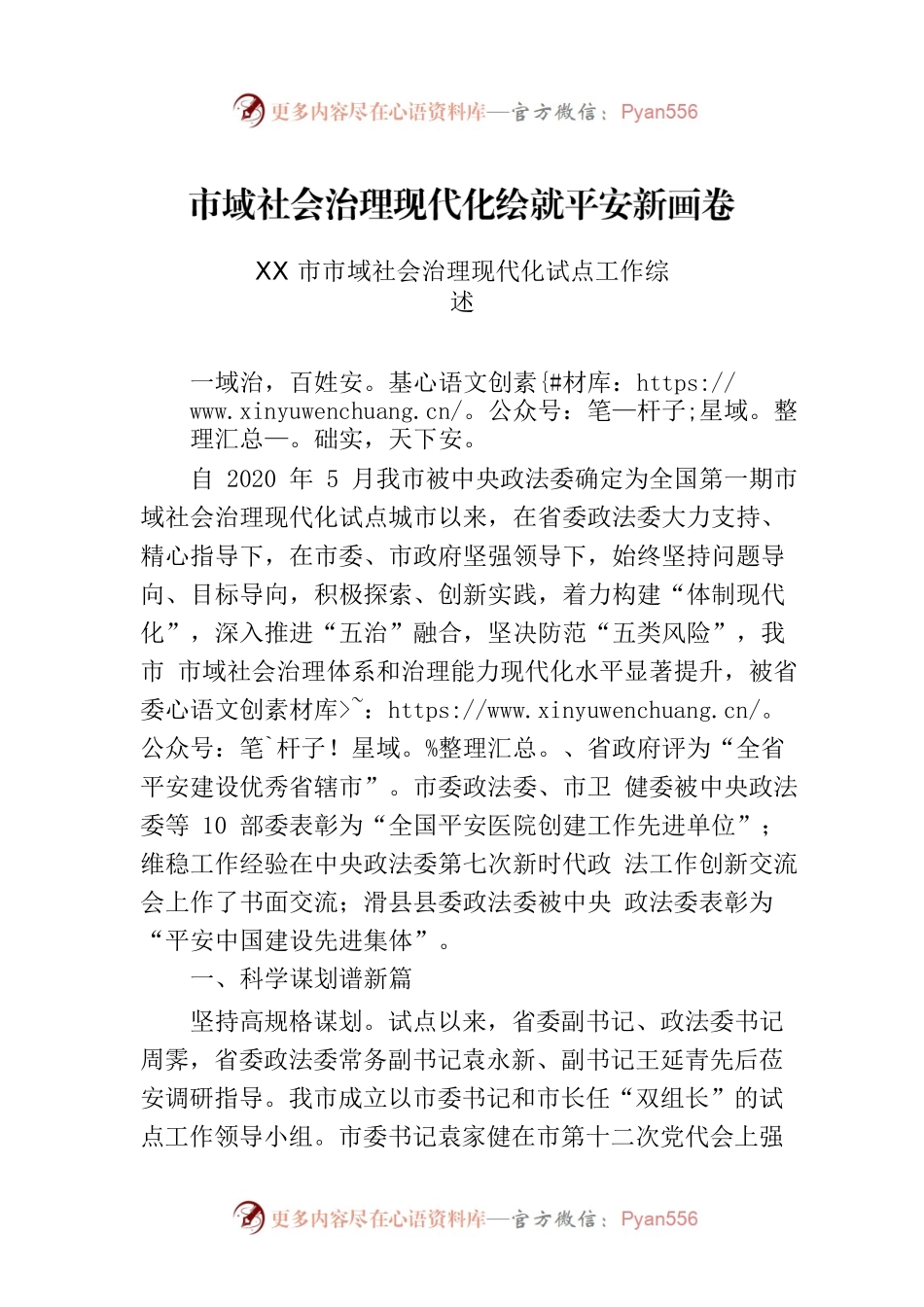 XX市市域社会治理现代化试点工作综述.docx_第1页