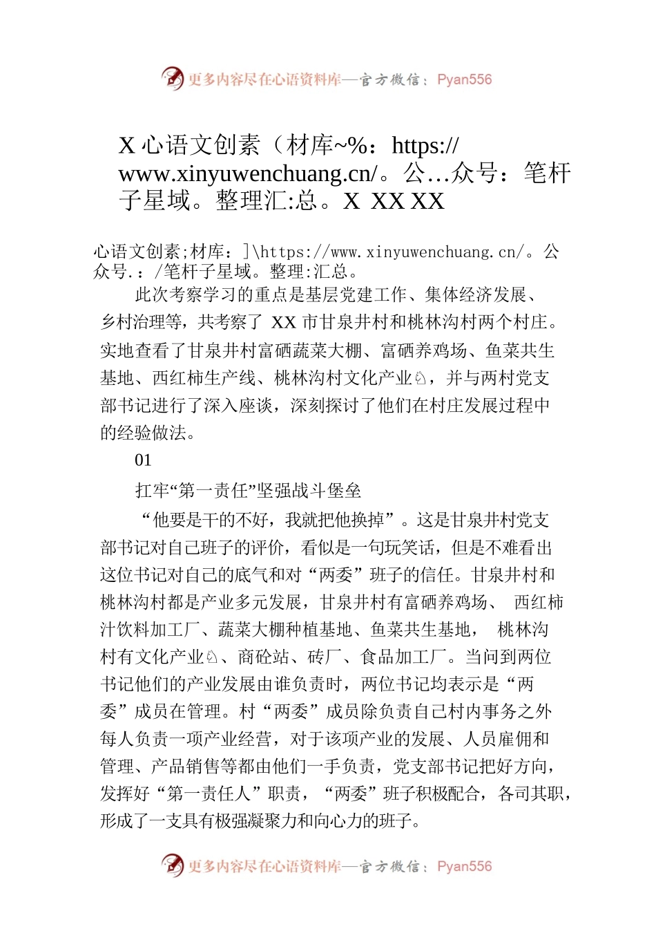 XX村：XX省XX市考察学习调研报告（20230613）.docx_第1页