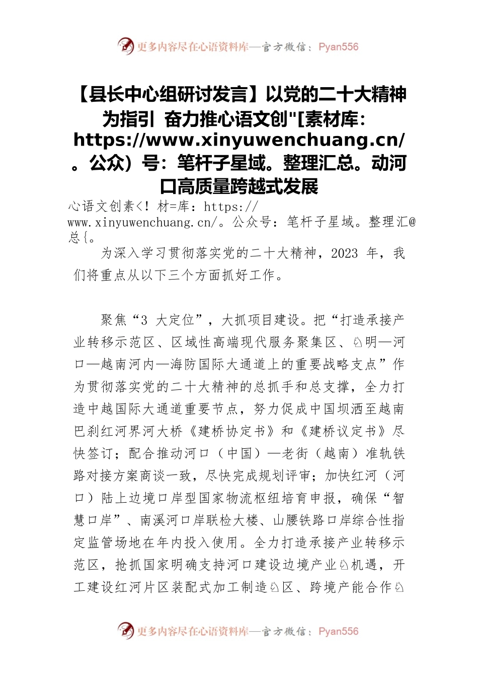 【县长中心组研讨发言】以党的二十大精神为指引 奋力推动河口高质量跨越式发展.docx_第1页