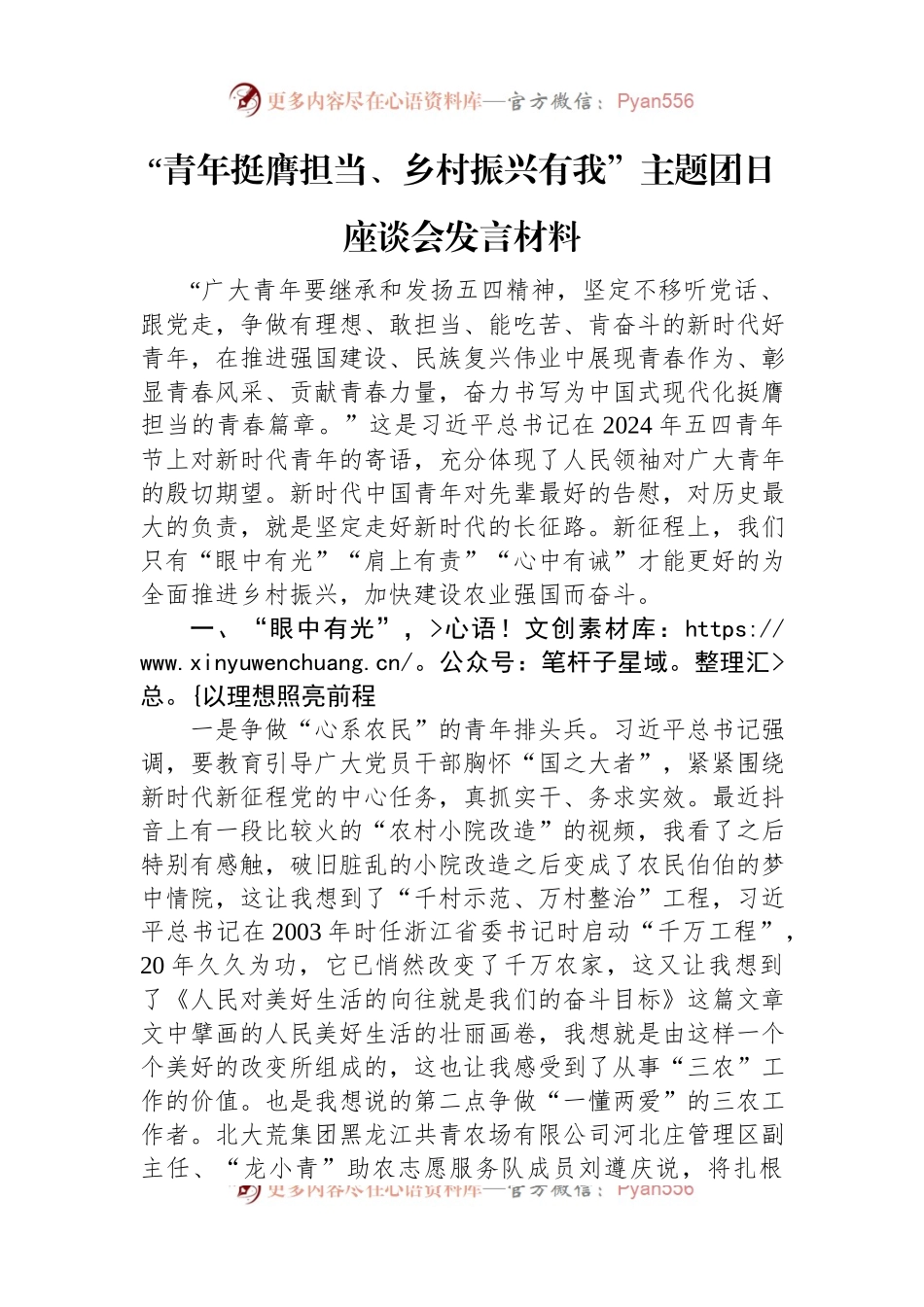 “青年挺膺担当、乡村振兴有我”主题团日座谈会发言材料.docx_第1页
