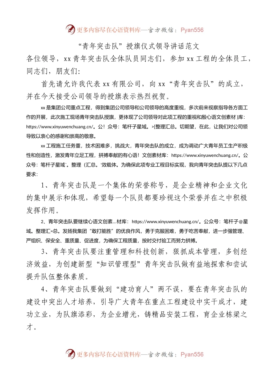 “青年突击队”授旗仪式领导讲话范文.docx_第1页