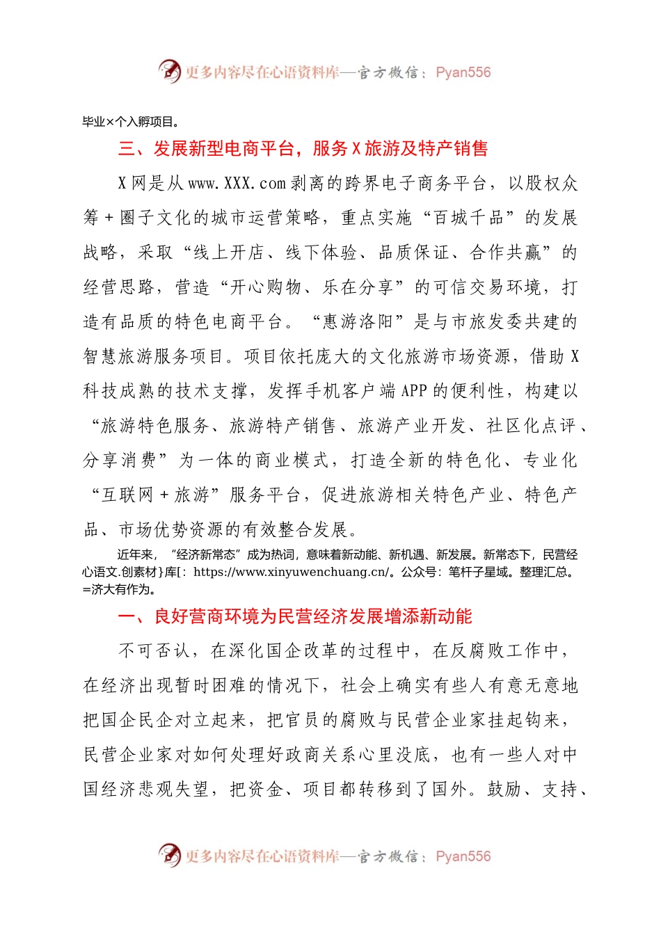 X信息科技有限公司座谈会汇报材料.docx_第2页