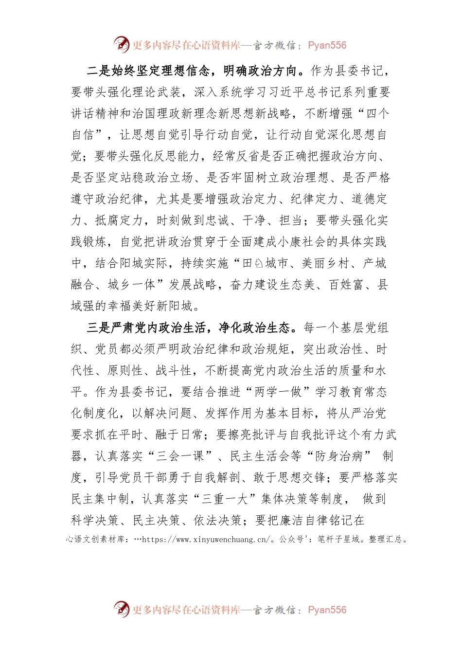 【中心组研讨发言】旗帜鲜明讲政治 从严治党强担当.docx_第2页