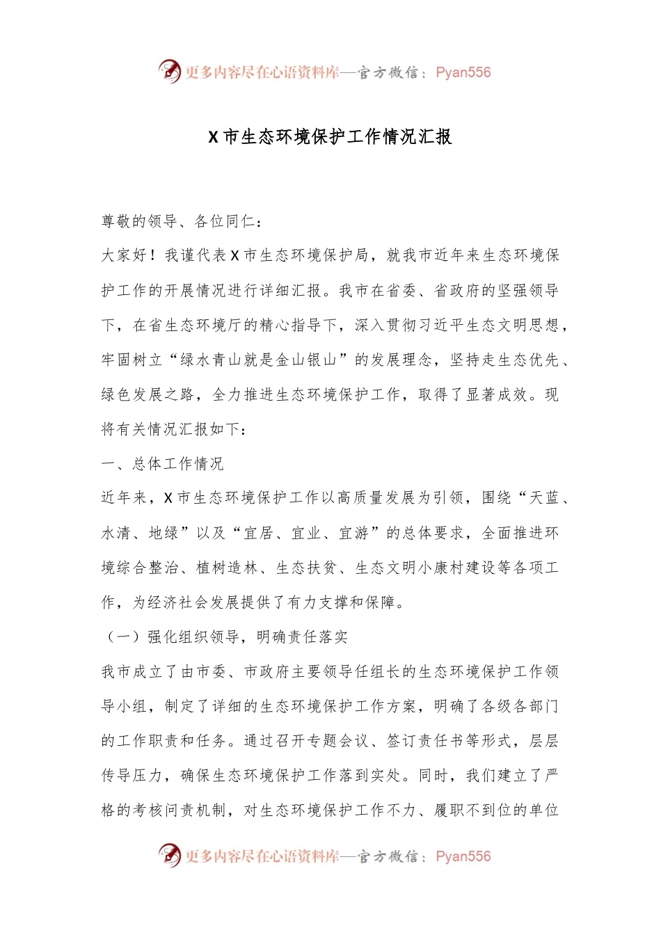 X市生态环境保护工作情况汇报.docx_第1页