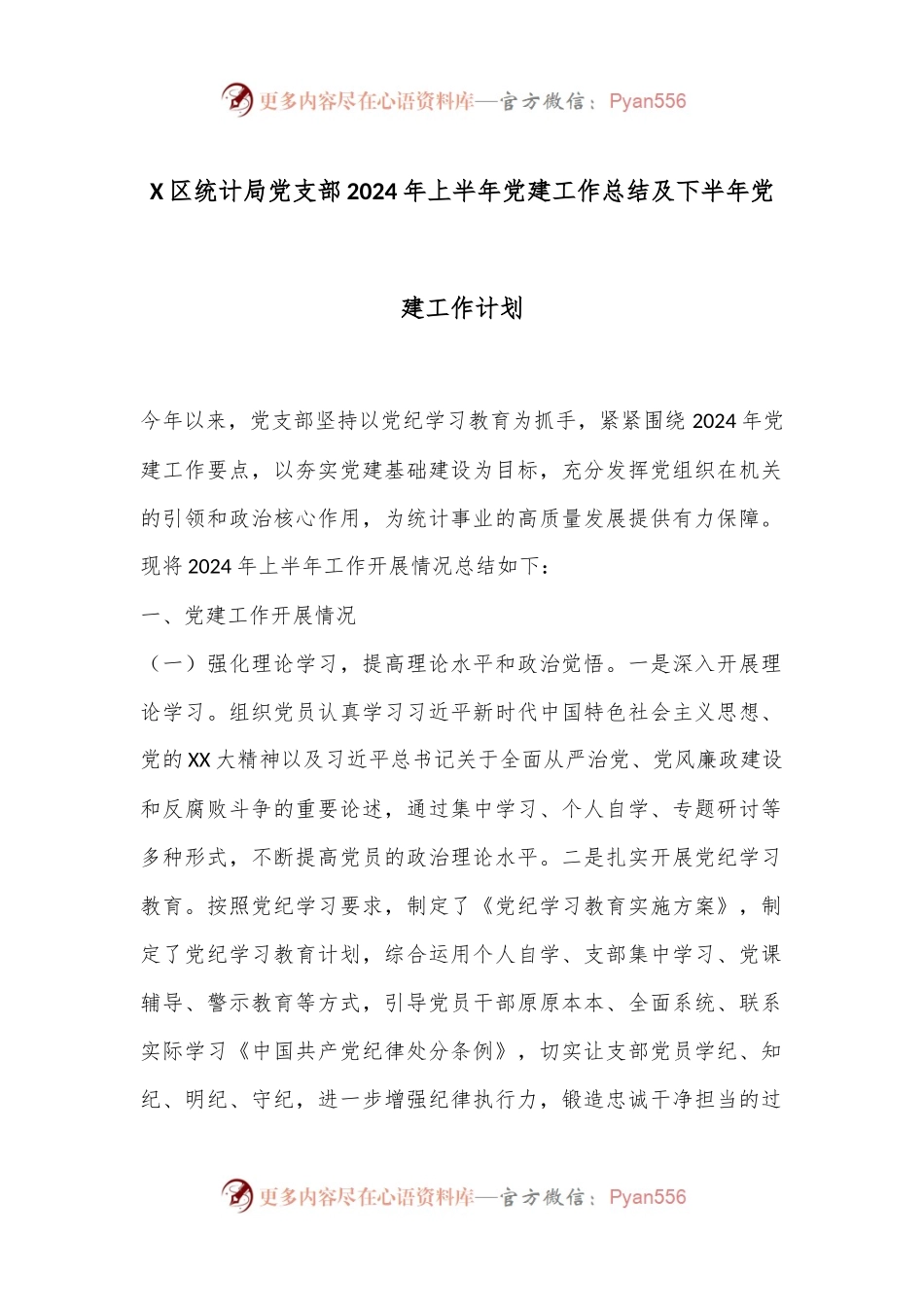 X区统计局党支部2024年上半年党建工作总结及下半年党建工作计划.docx_第1页
