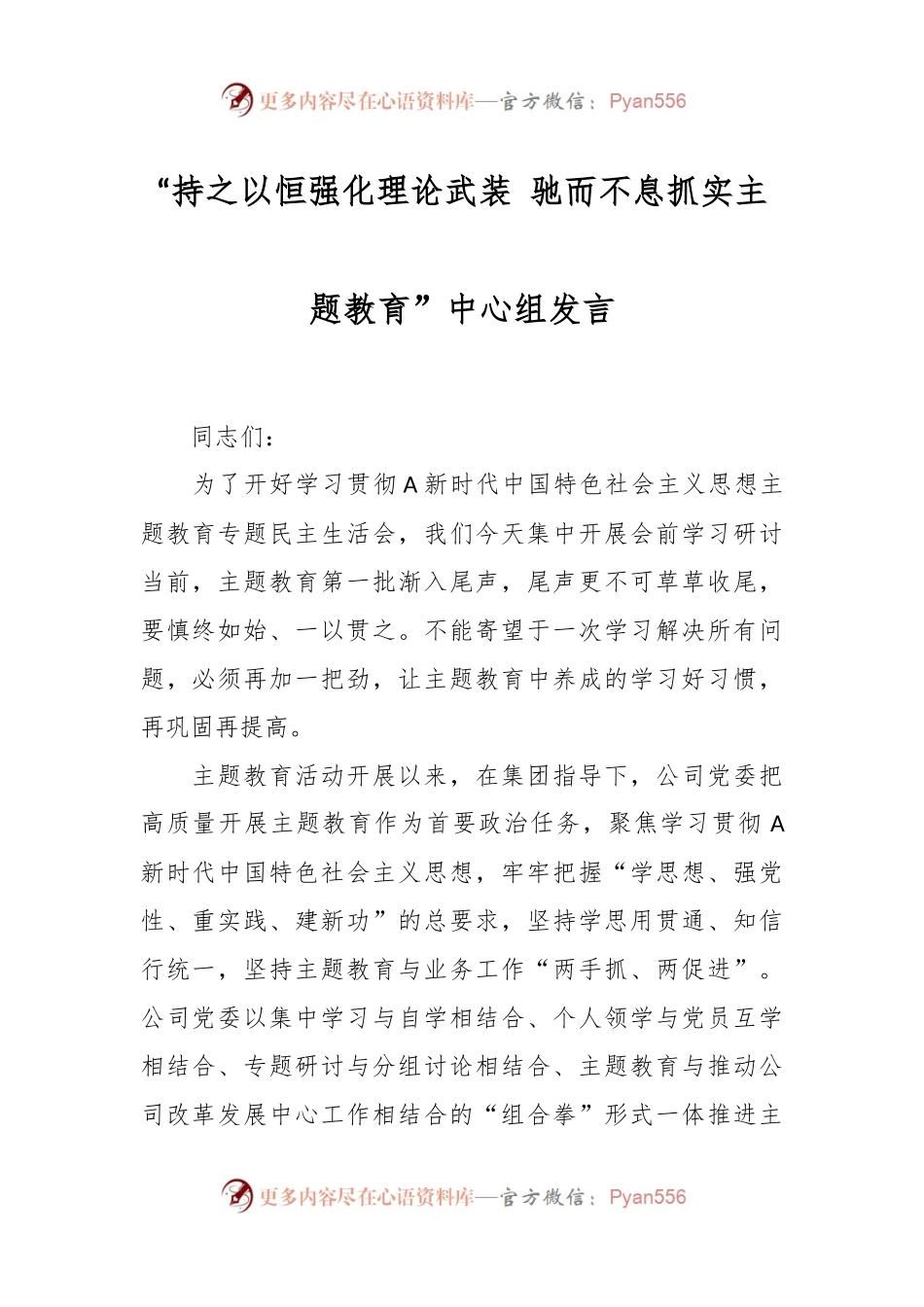 “持之以恒强化理论武装 驰而不息抓实主题教育”中心组发言.docx_第1页