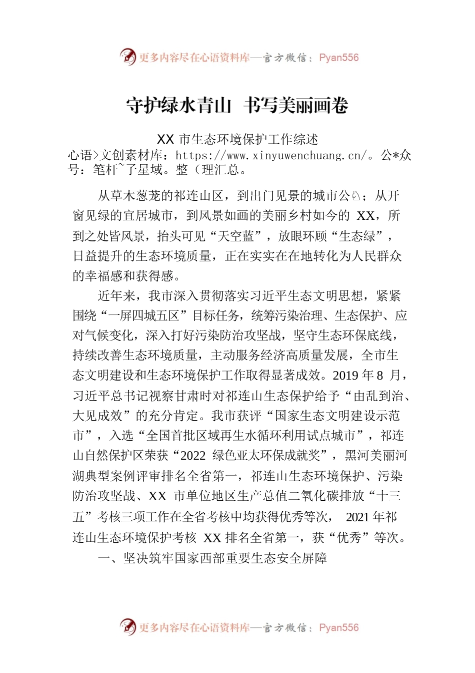 XX市生态环境保护工作综述.docx_第1页