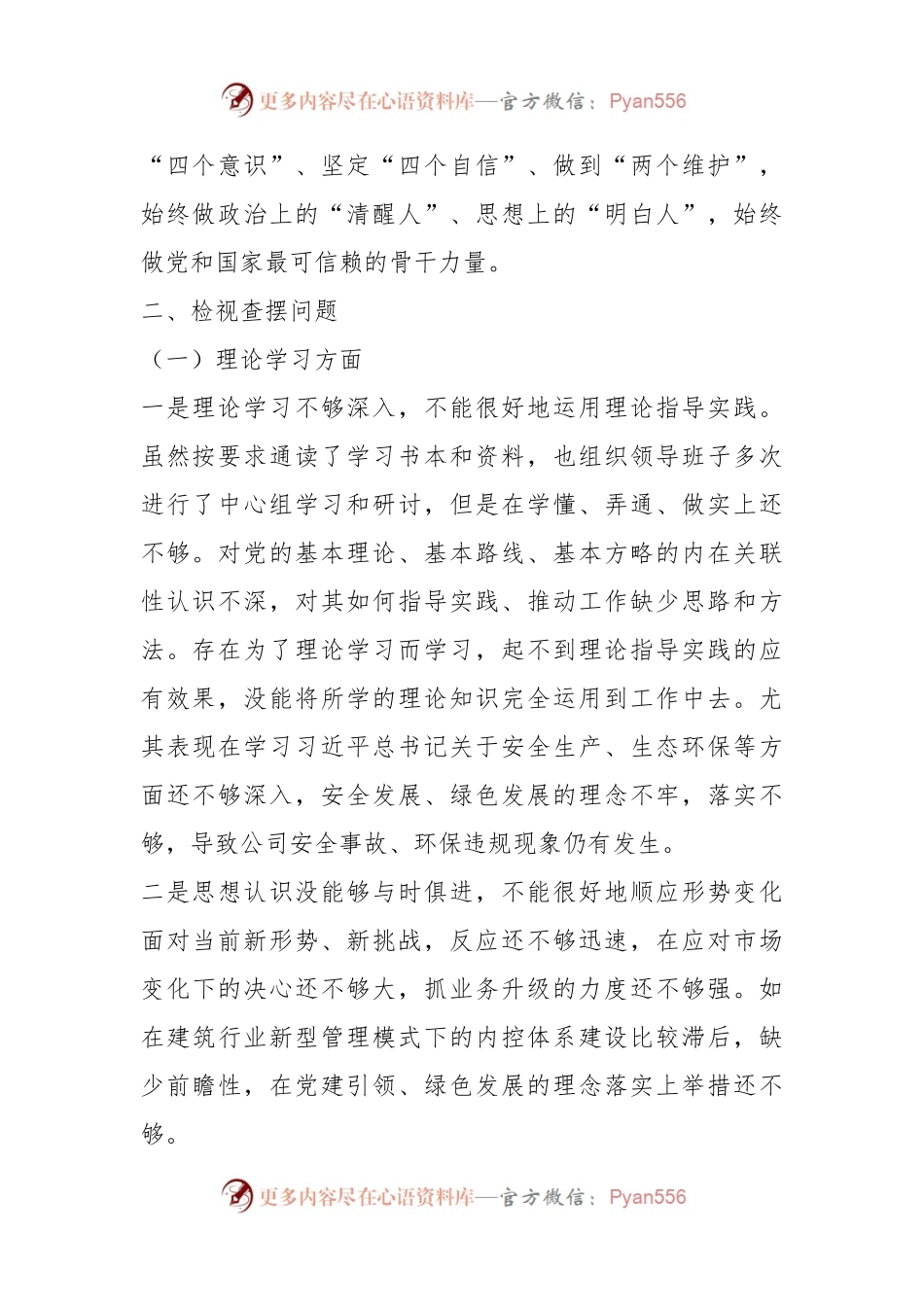 X国企党委书记2023年主题教育民主生活会领导干部个人发言提纲.docx_第2页