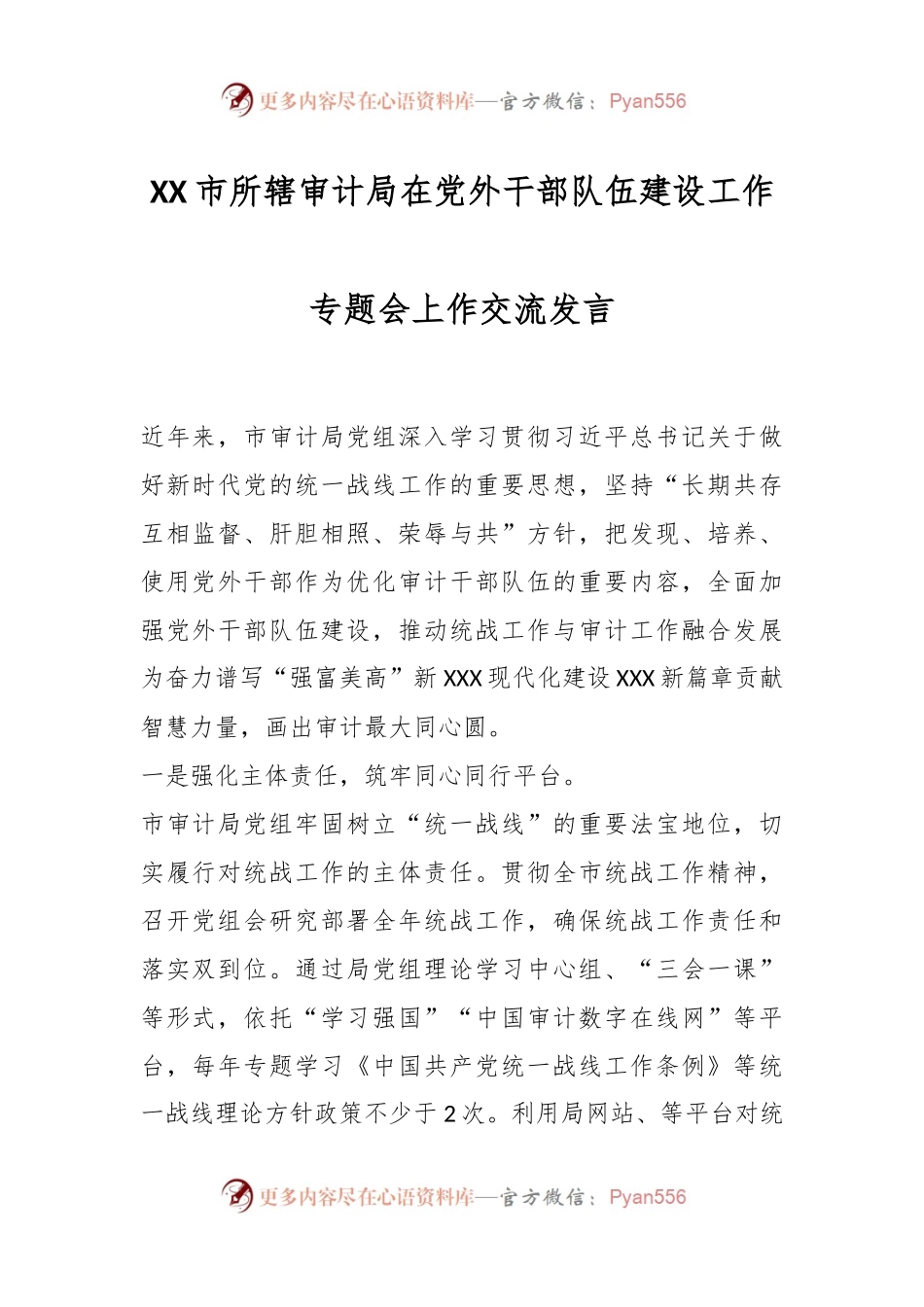 XX市所辖审计局在党外干部队伍建设工作专题会上作交流发言.docx_第1页