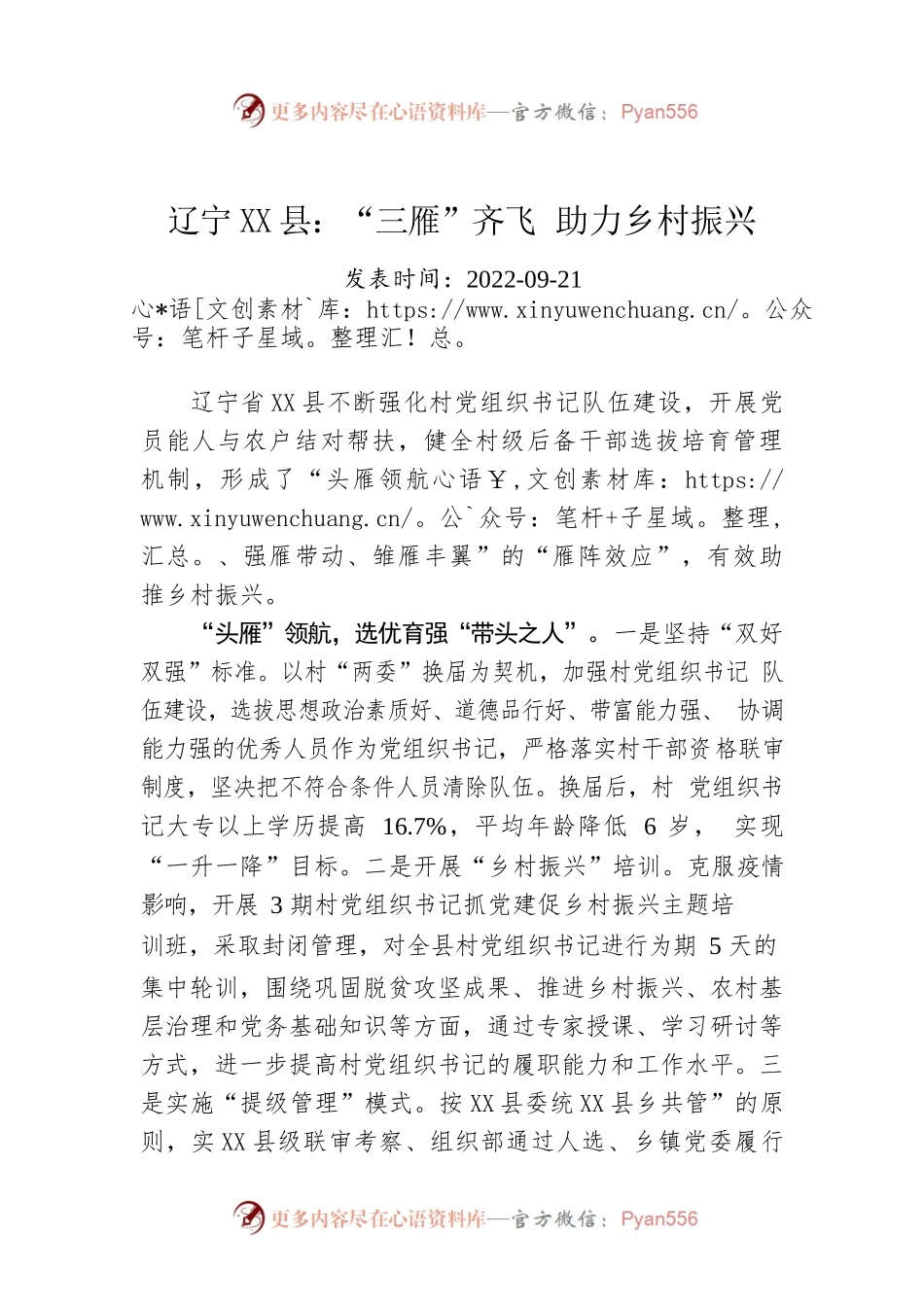 X县：“三雁”齐飞 助力乡村振兴.docx_第1页