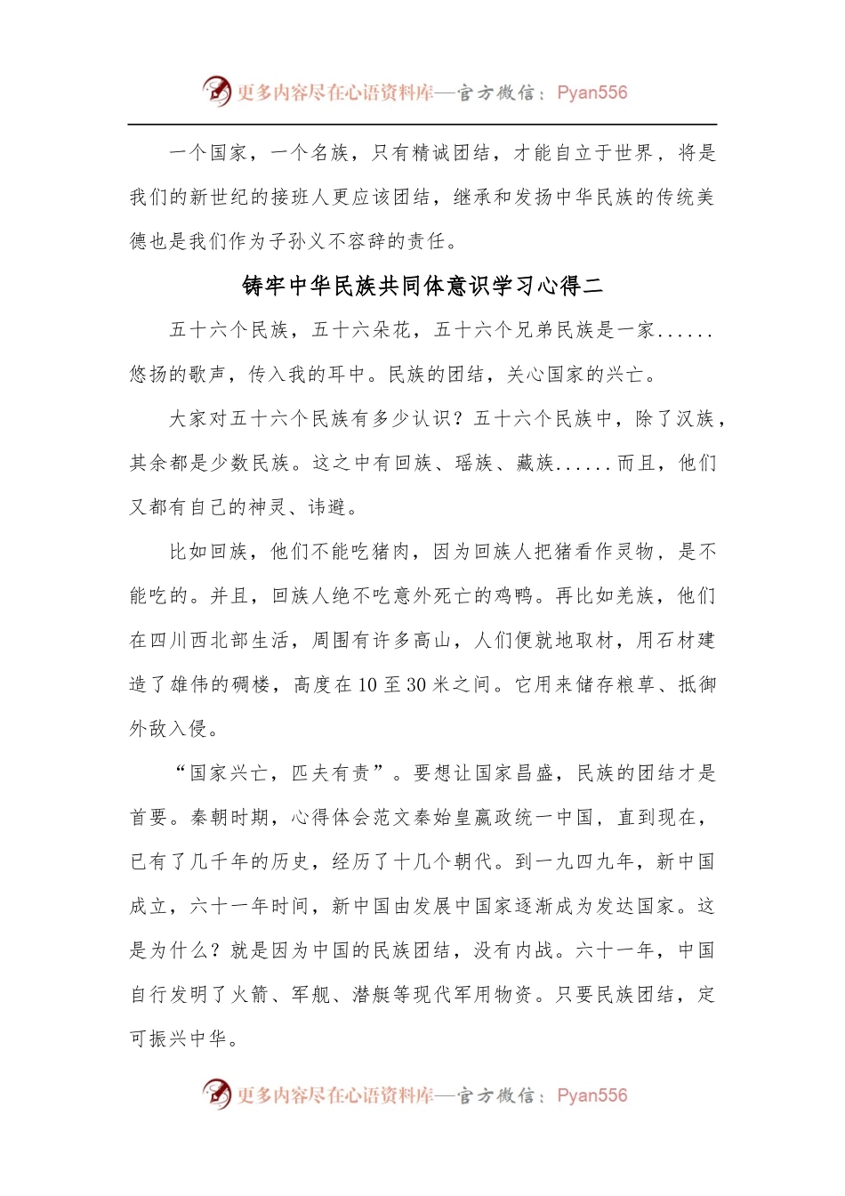 [5篇]铸牢中华民族共同体意识学习心得.docx_第2页
