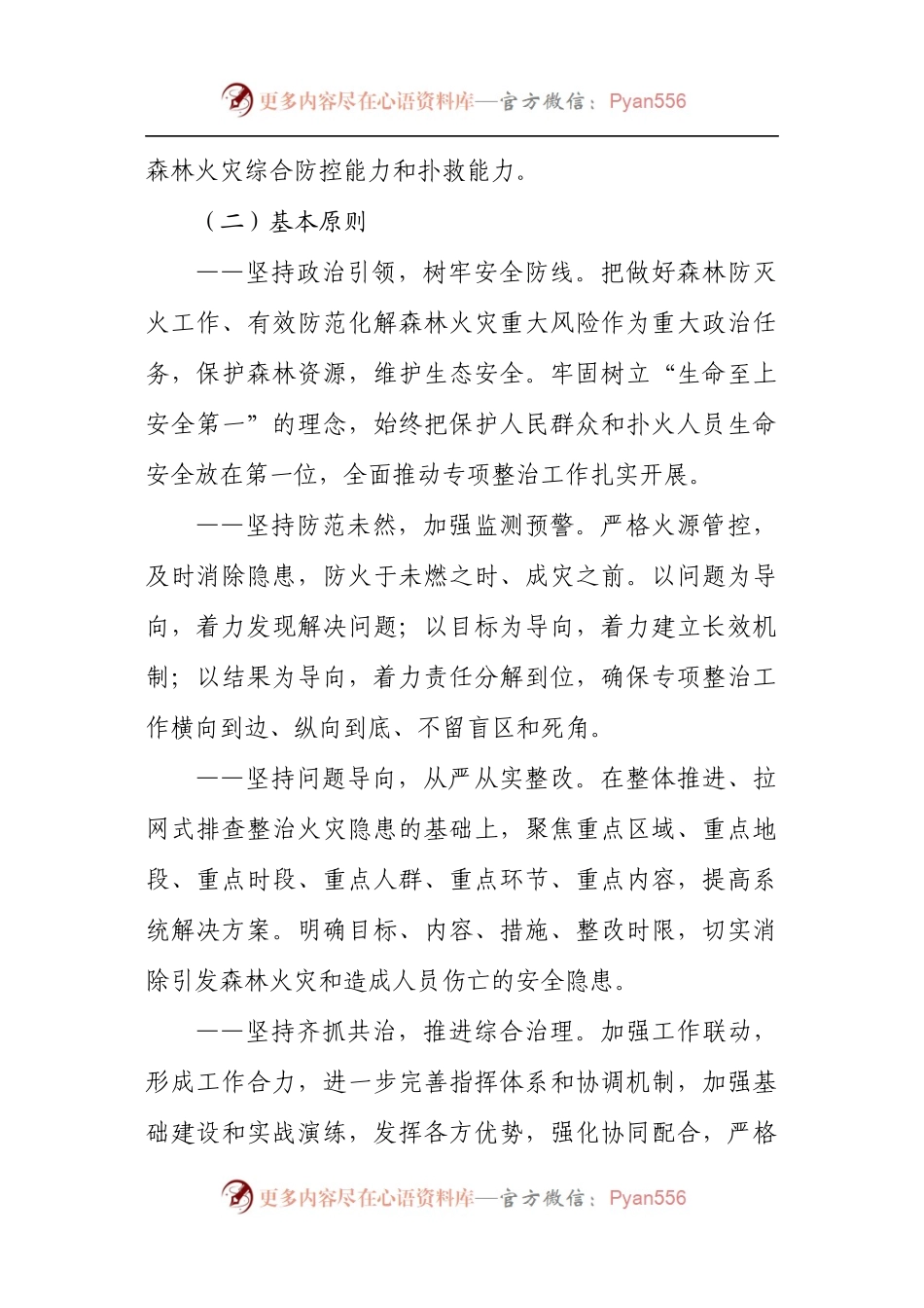 X镇2021年森林防灭火专项整治三年行动方案.docx_第2页