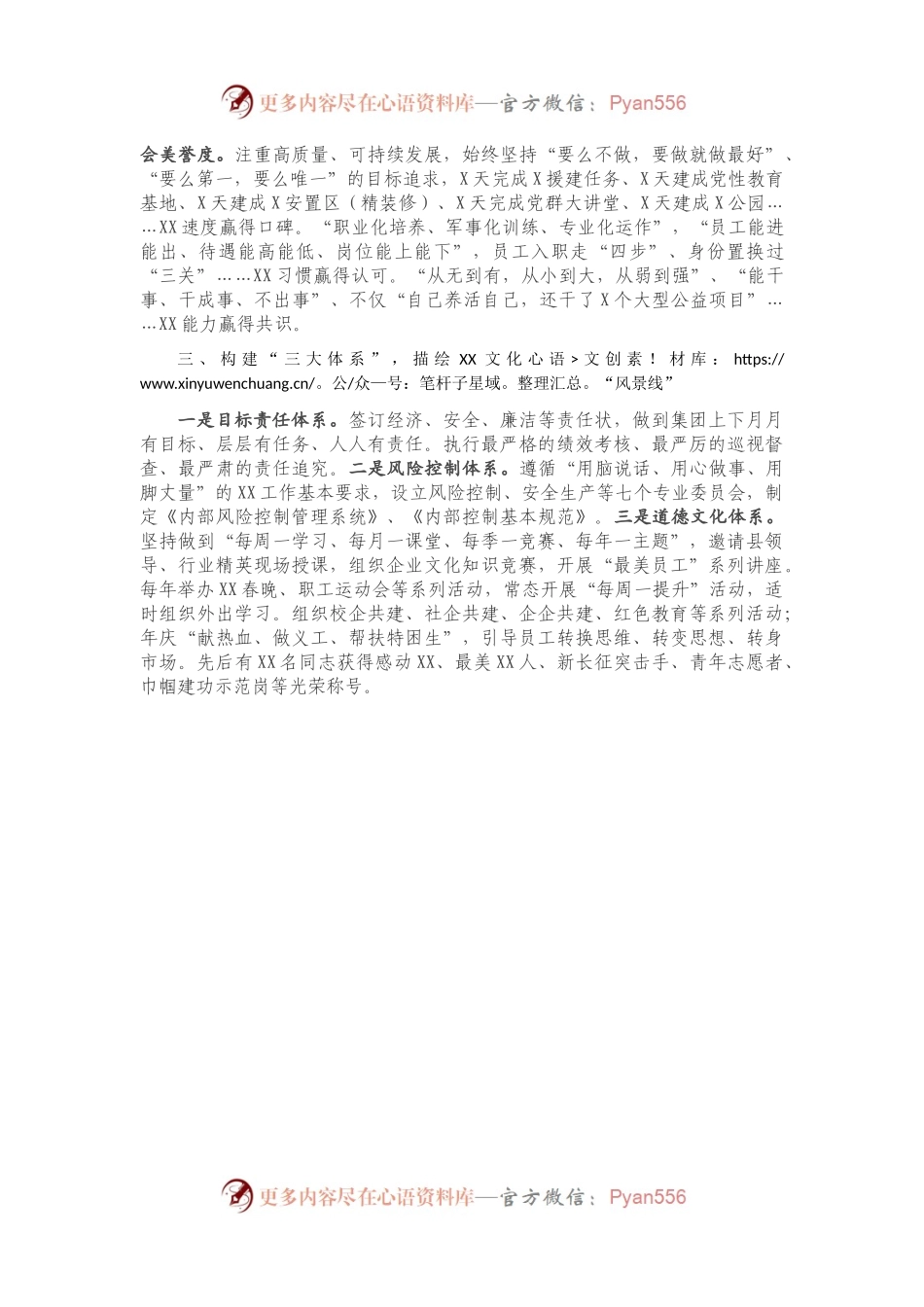 X县人大视察企业文化工作汇报材料.docx_第2页