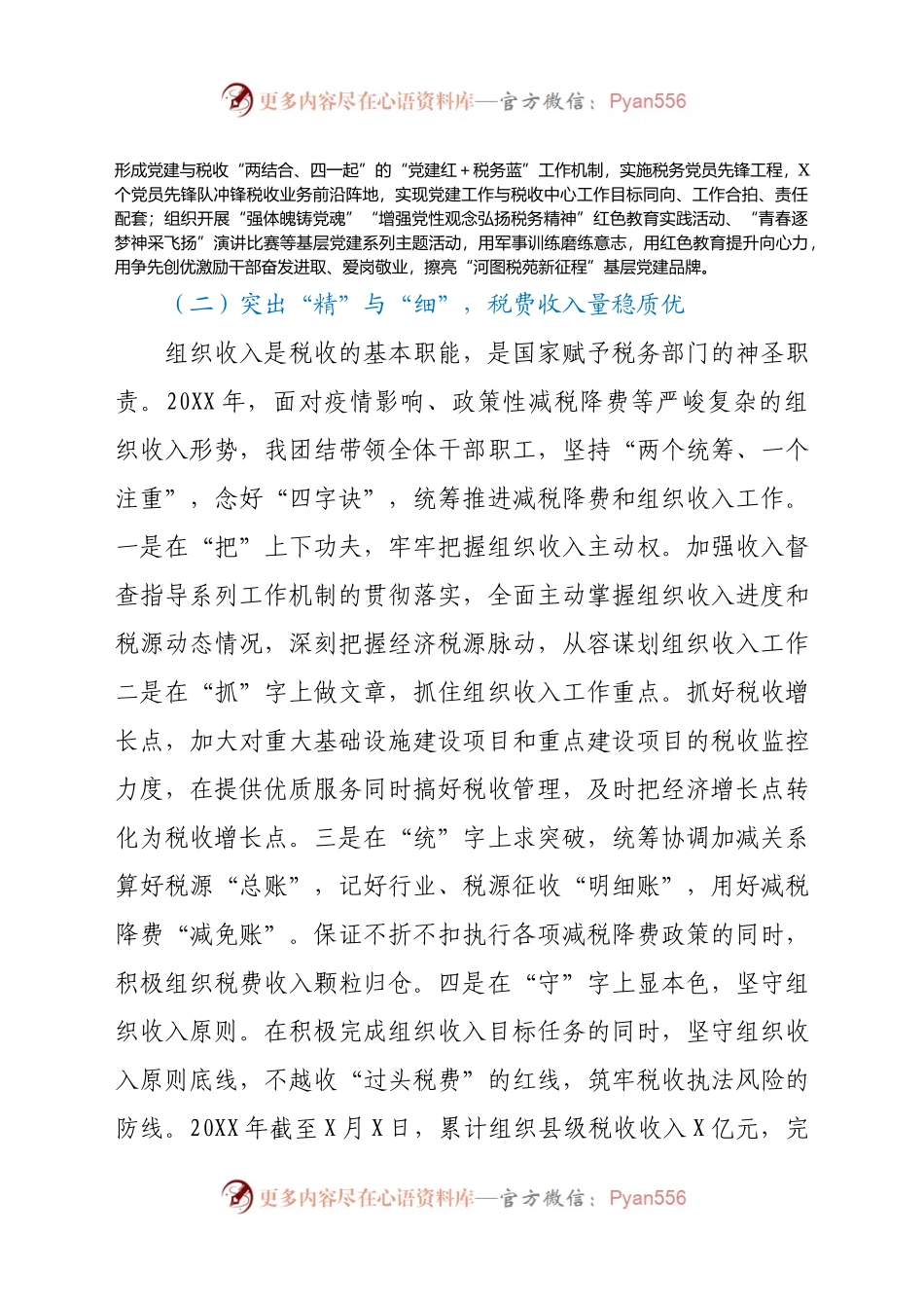 X税务局党委书记、局长20XX年述职报告.docx_第2页