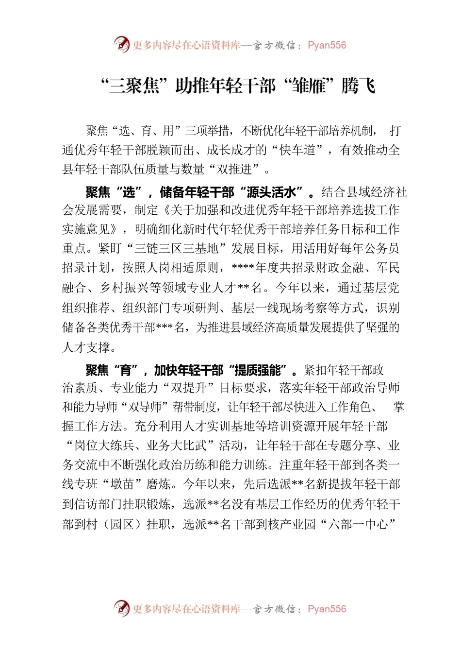 “三聚焦”助推年轻干部“雏雁”腾飞.docx_第1页