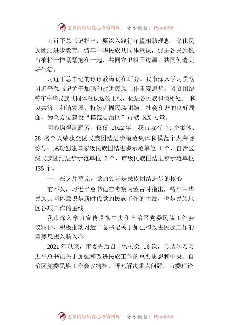 XX市民族团结进步事业发展综述.docx_第2页