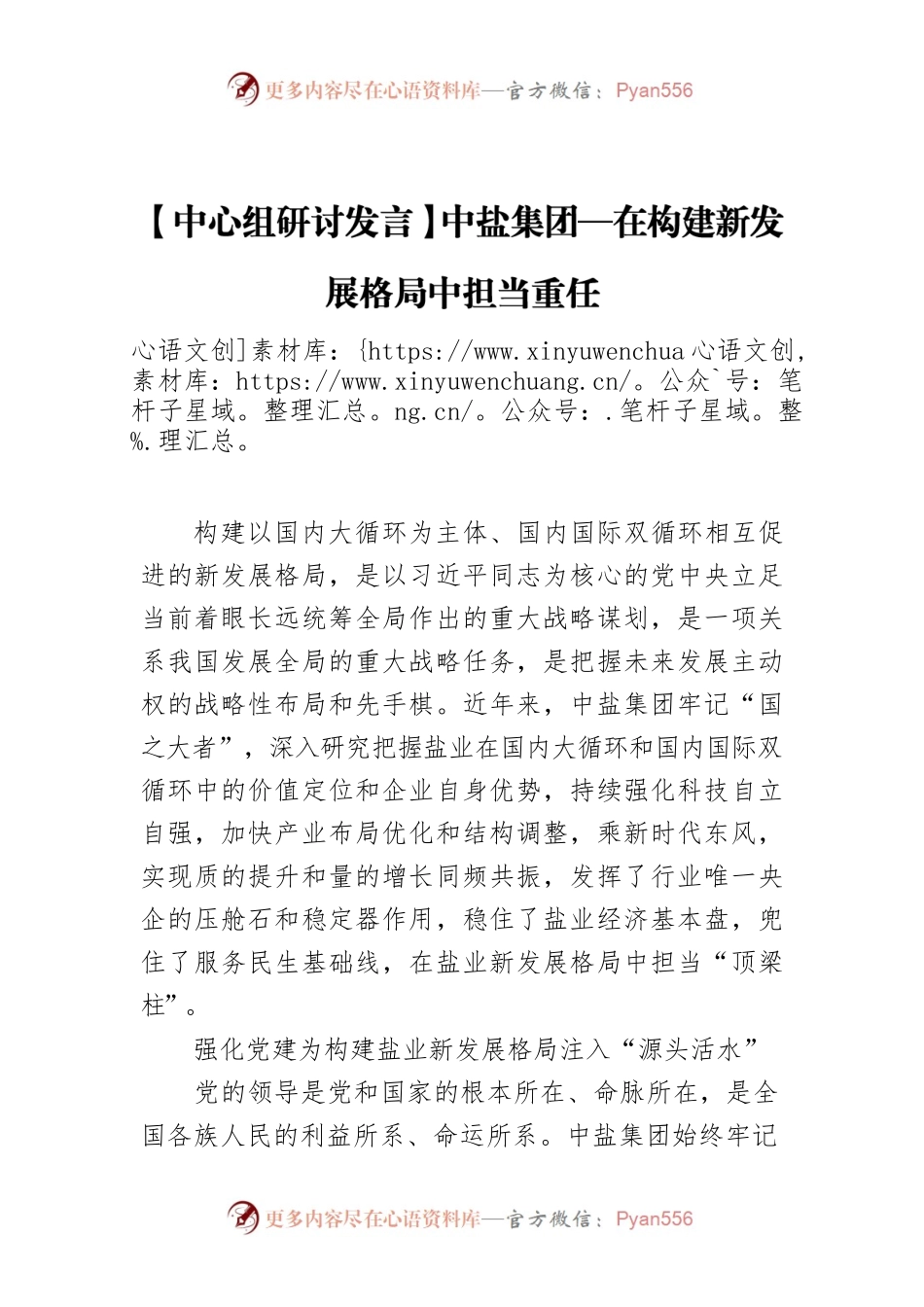 【中心组研讨发言】中盐集团—在构建新发展格局中担当重任.docx_第1页