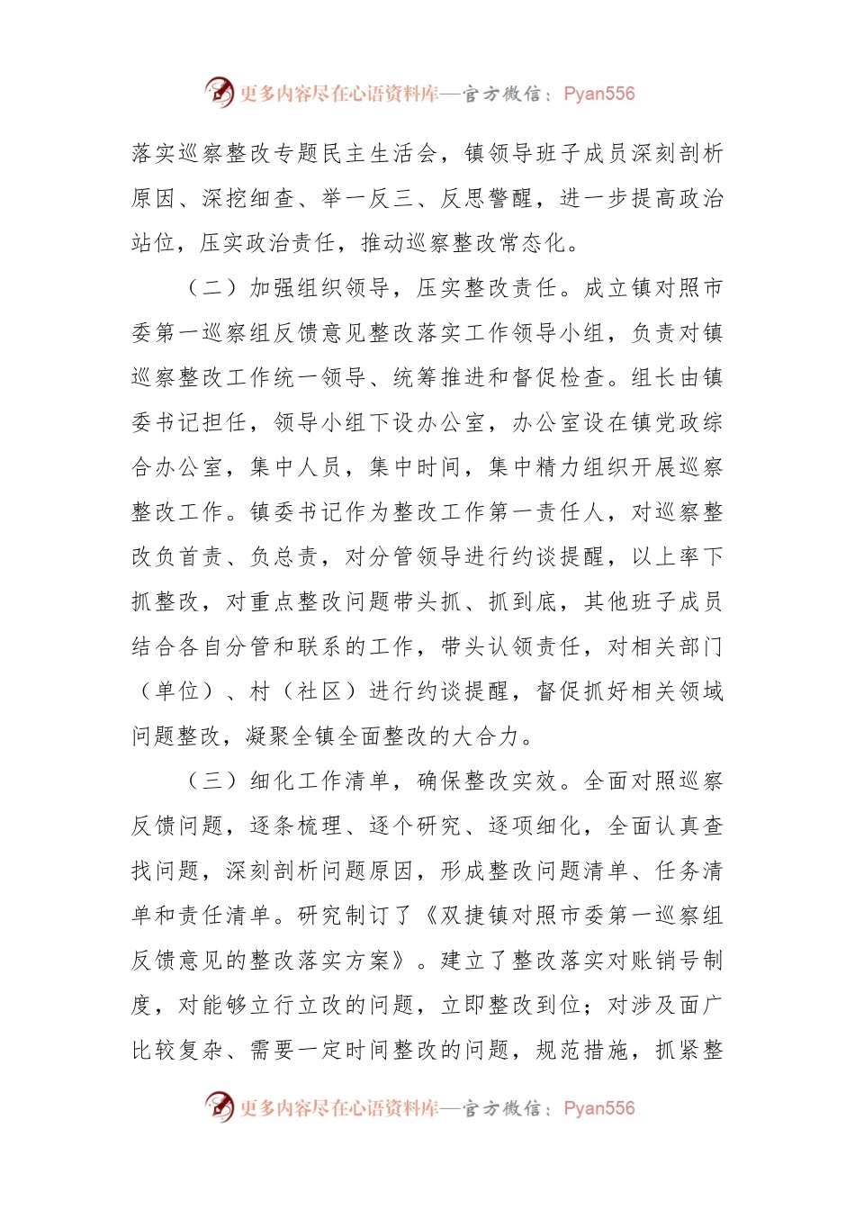 XX市江城区双捷镇委员会关于八届市委第一轮巡察整改进展情况的通报.docx_第2页