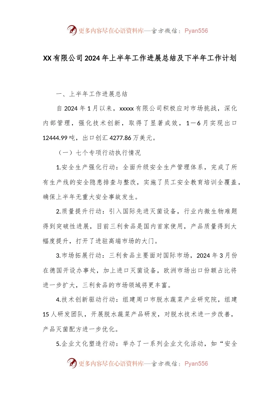 XX有限公司2024年上半年工作进展总结及下半年工作计划.docx_第1页