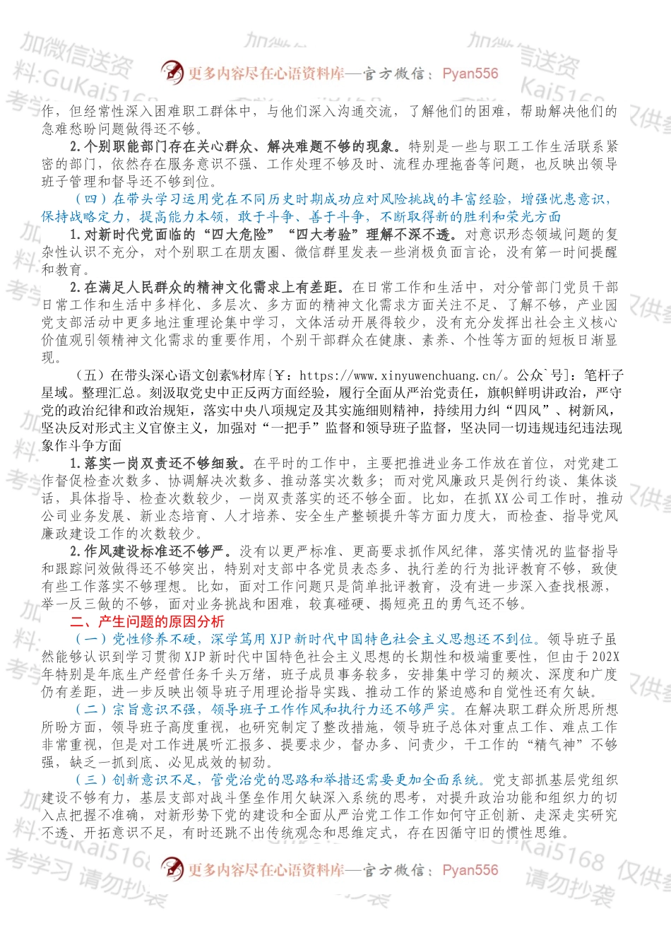 XX有限公司党支部党员领导干部202X年专题民主生活会领导班子对照检查材料.docx_第2页
