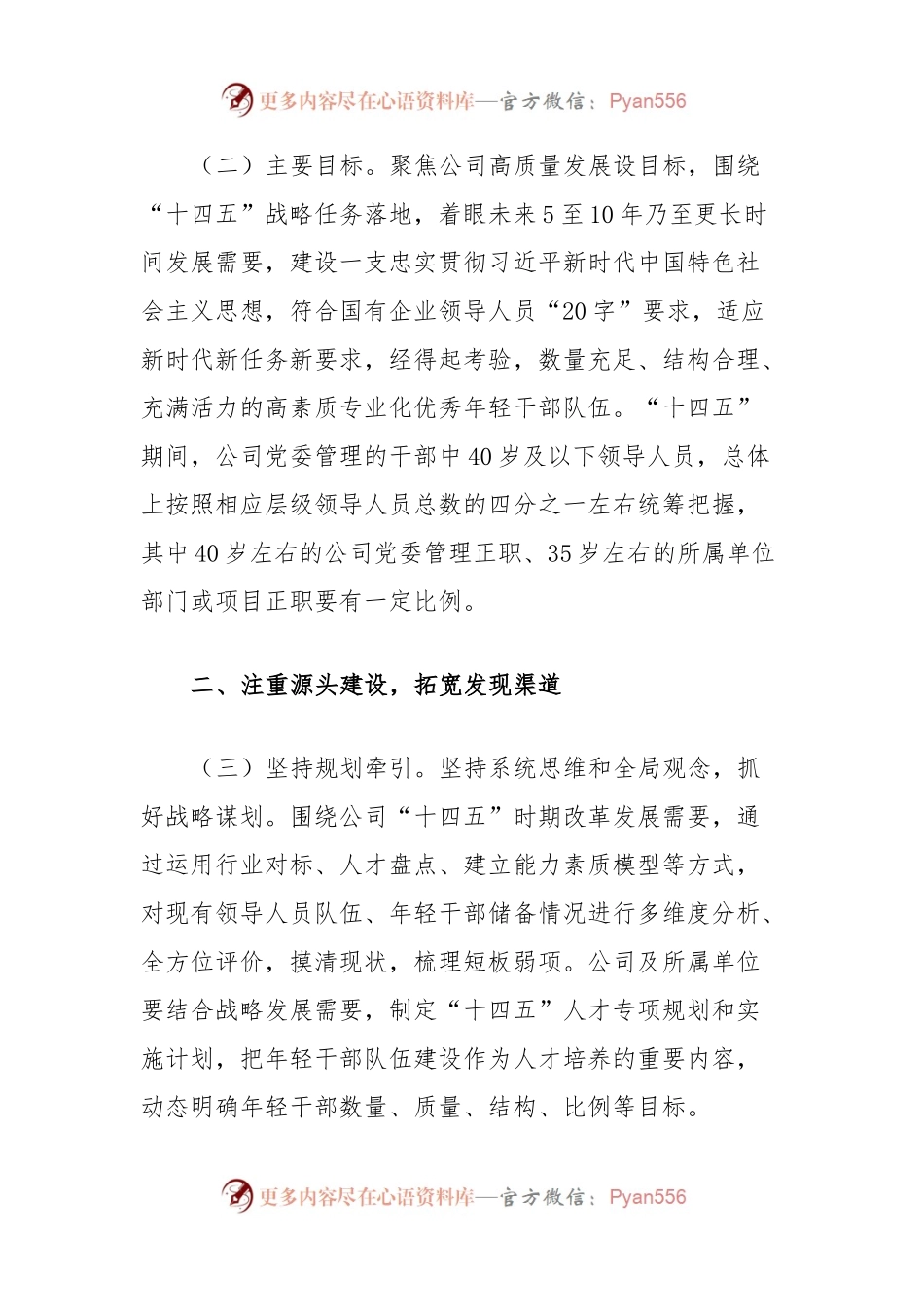 “十四五”时期公司优秀年轻干部队伍建设实施方案.docx_第2页
