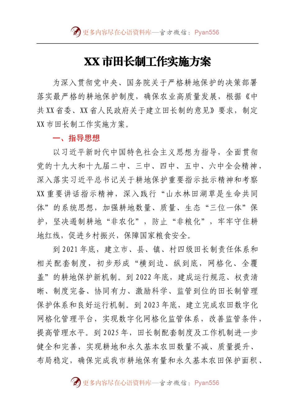 XX市田长制工作实施方案.docx_第1页